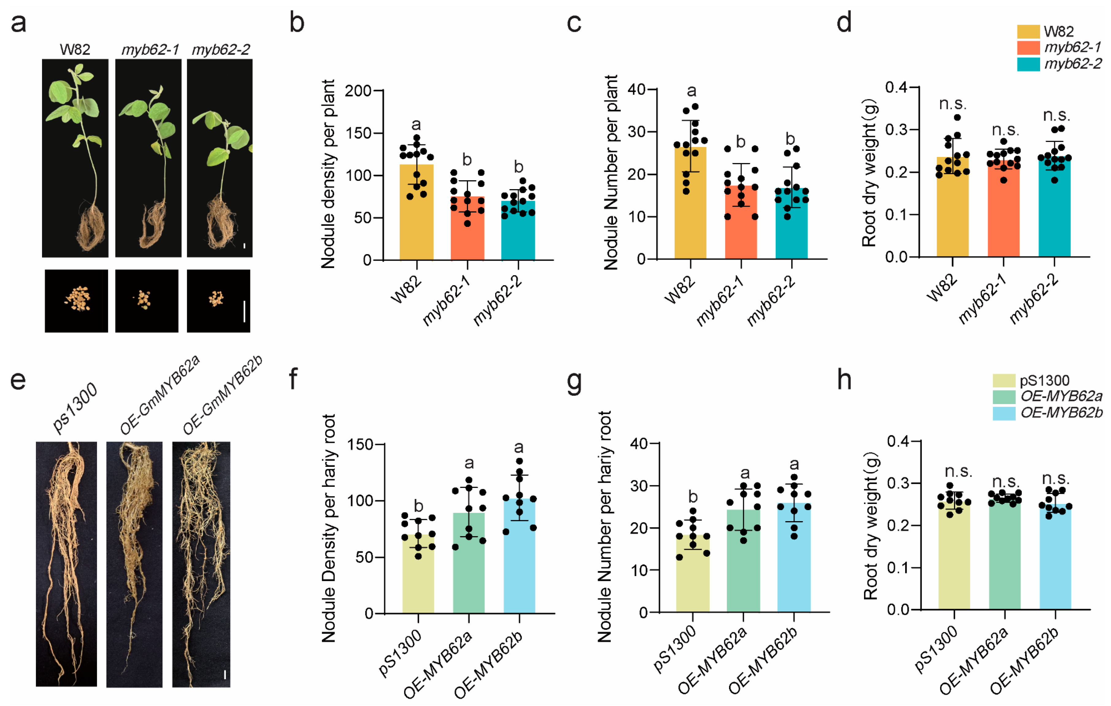 Plants 14 02240 g007