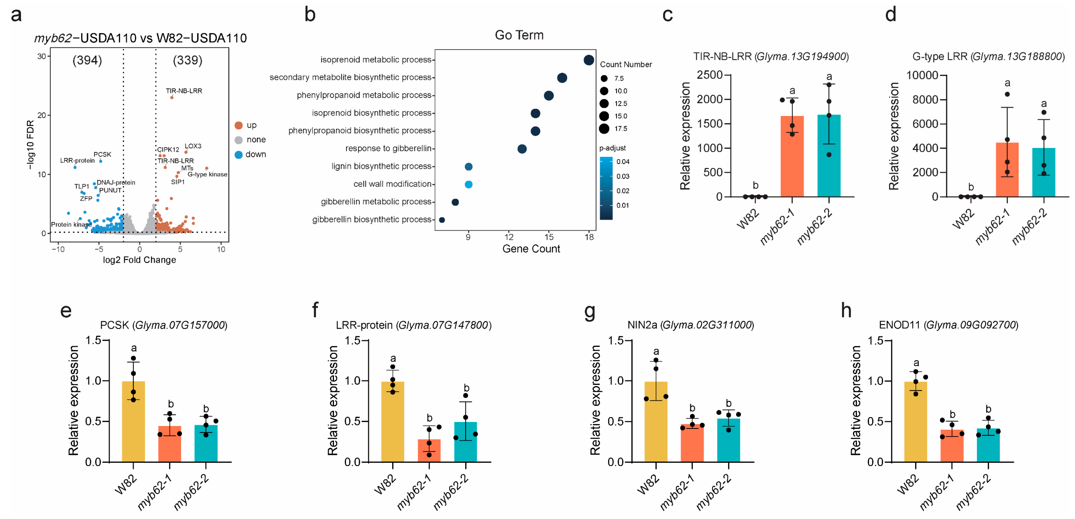 Plants 14 02240 g008