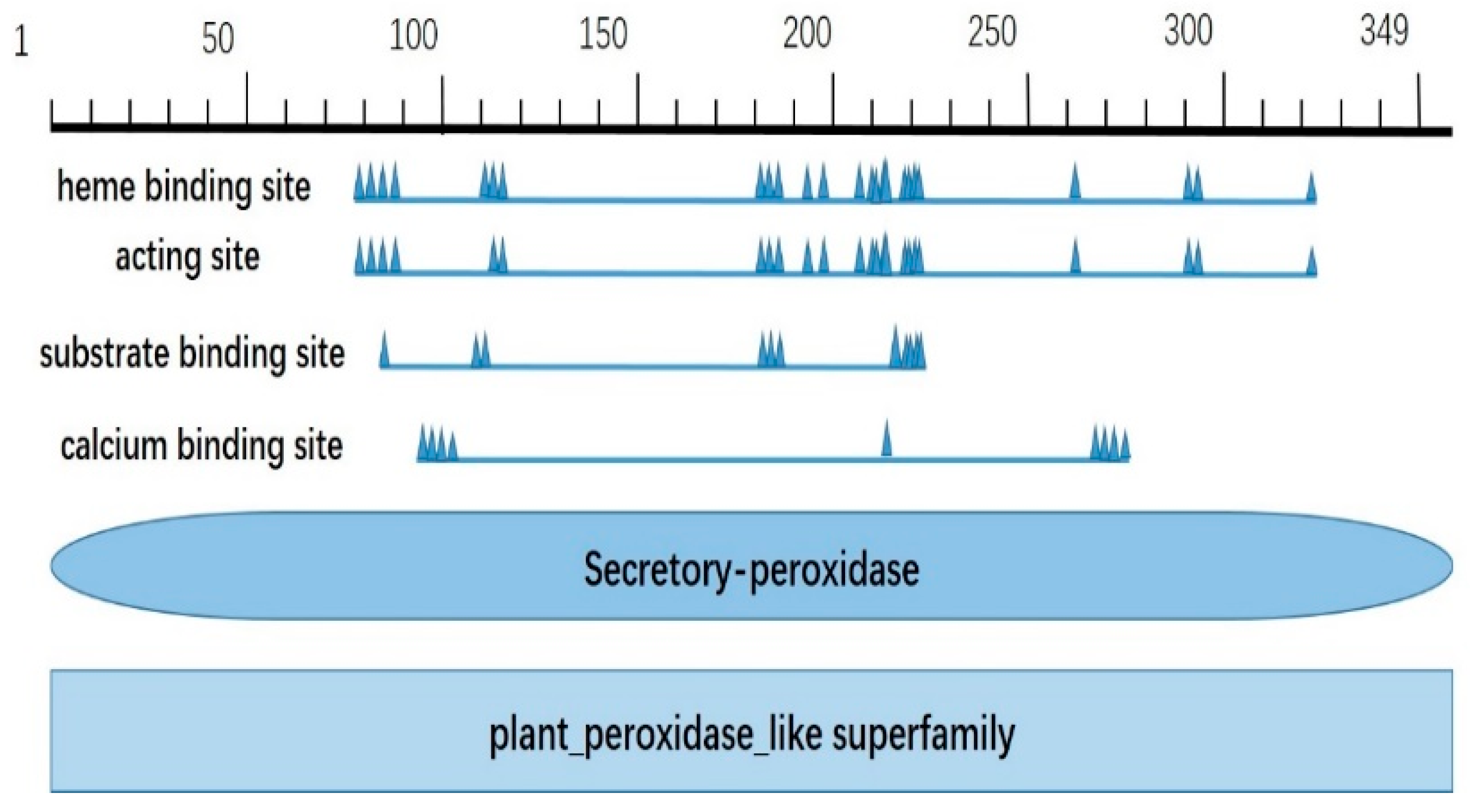 Plants 14 02246 g002