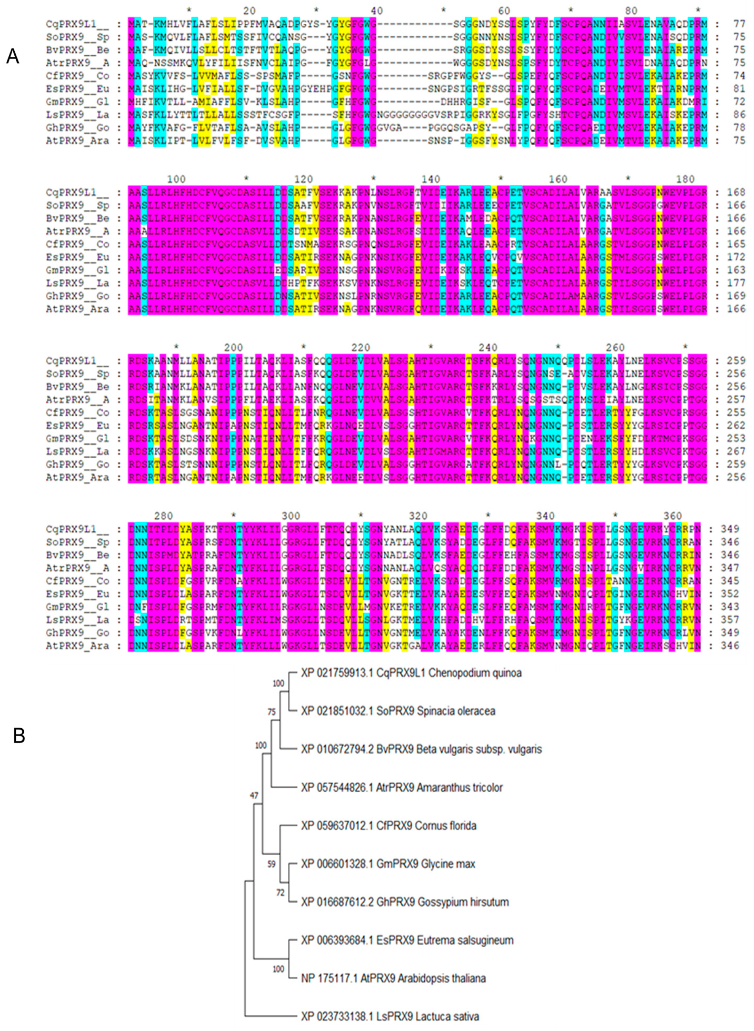 Plants 14 02246 g004