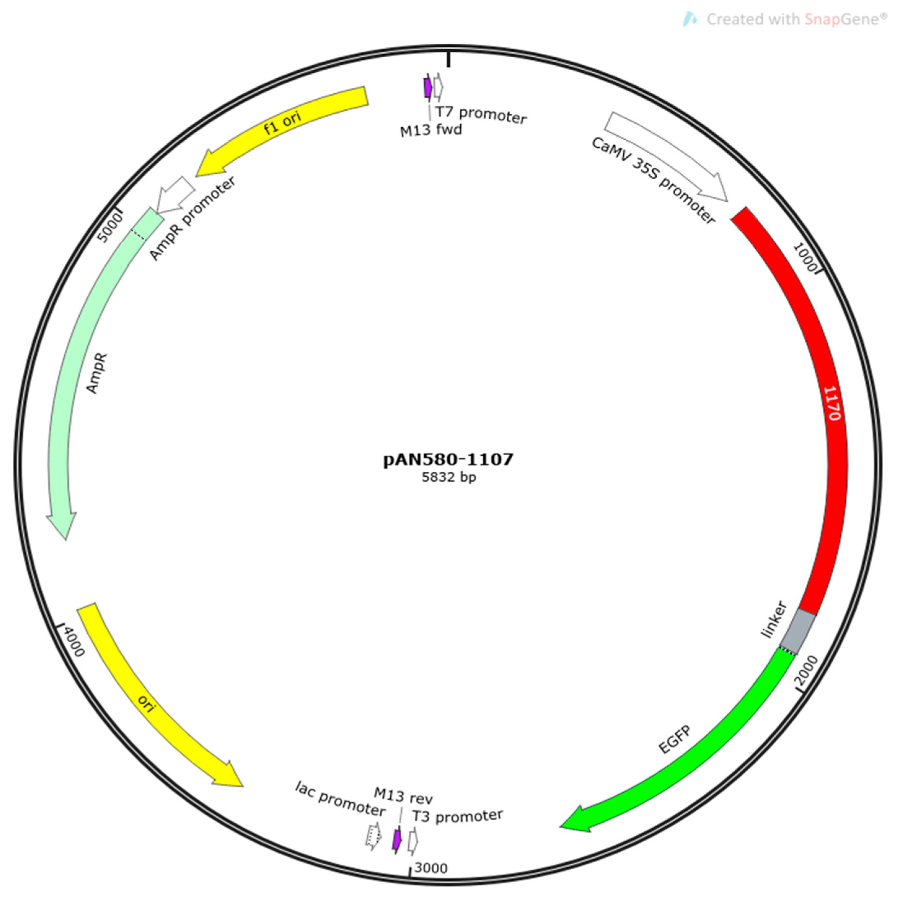 Plants 14 02246 g015