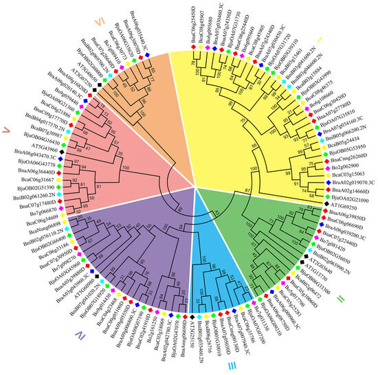 Genome-Wide Identification of G3BP Family in U's Triangle