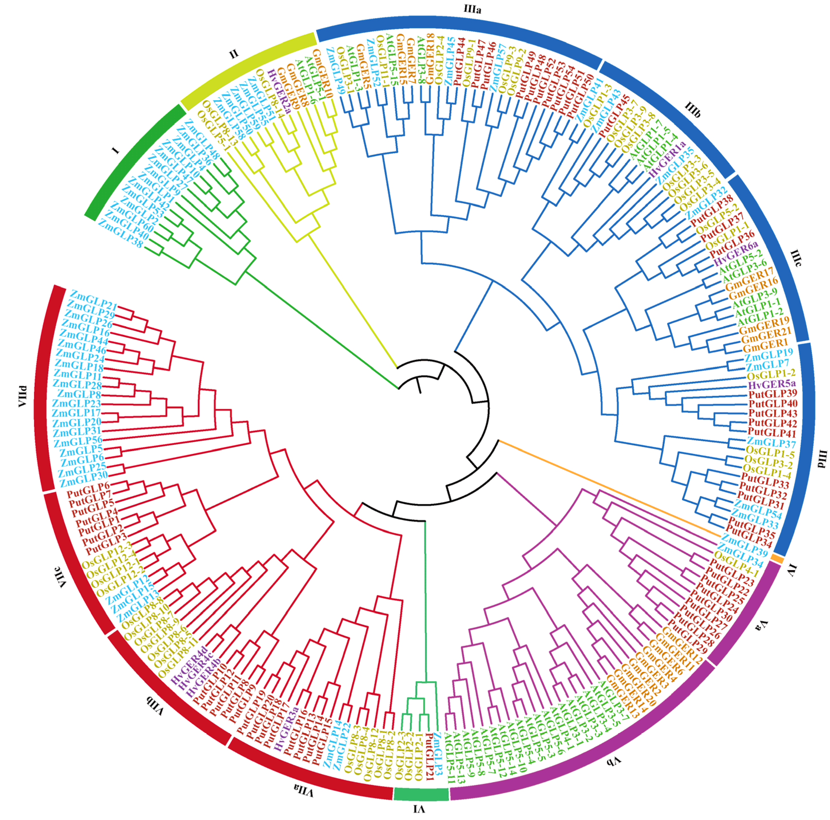 Plants 14 02259 g001