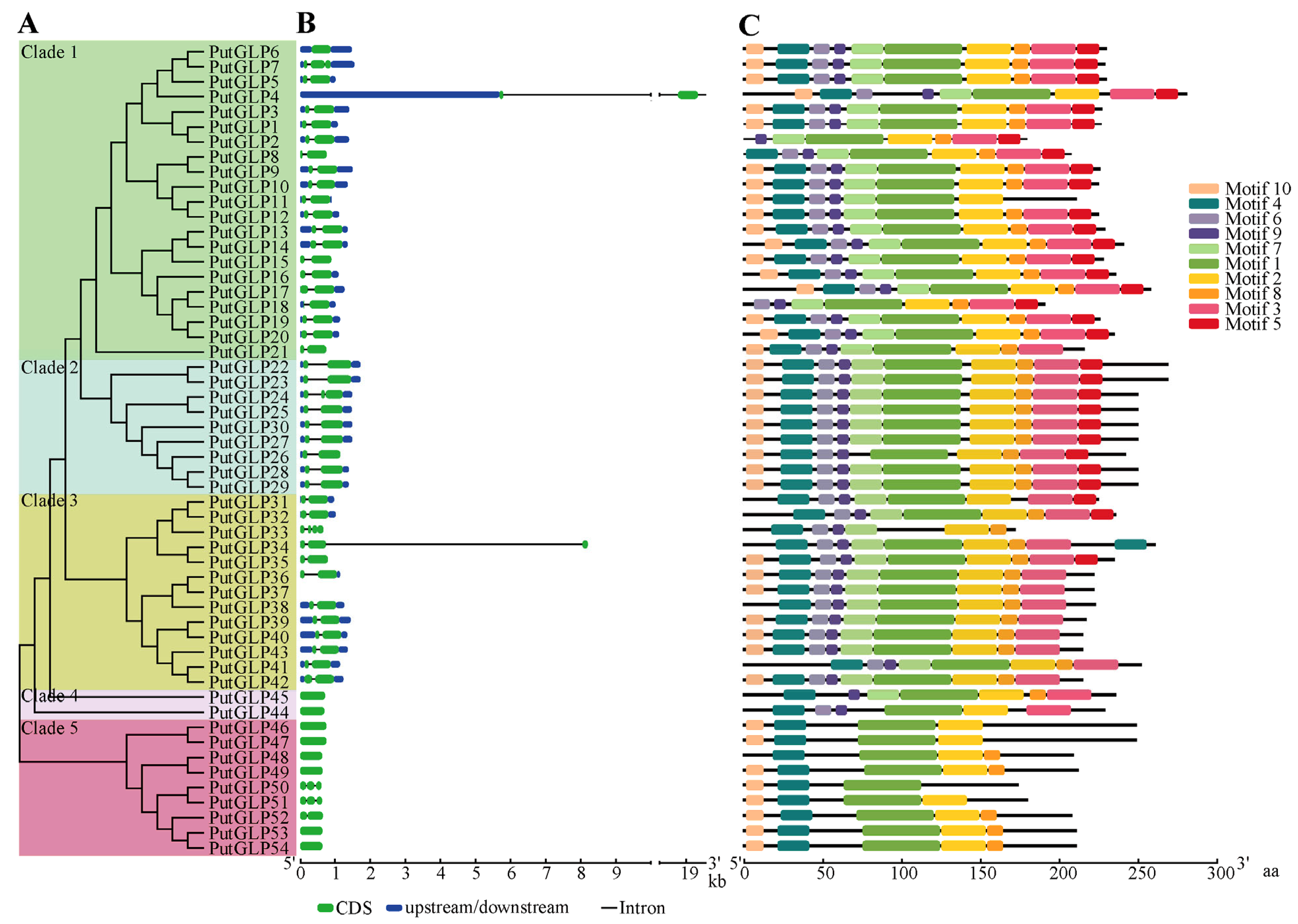 Plants 14 02259 g003