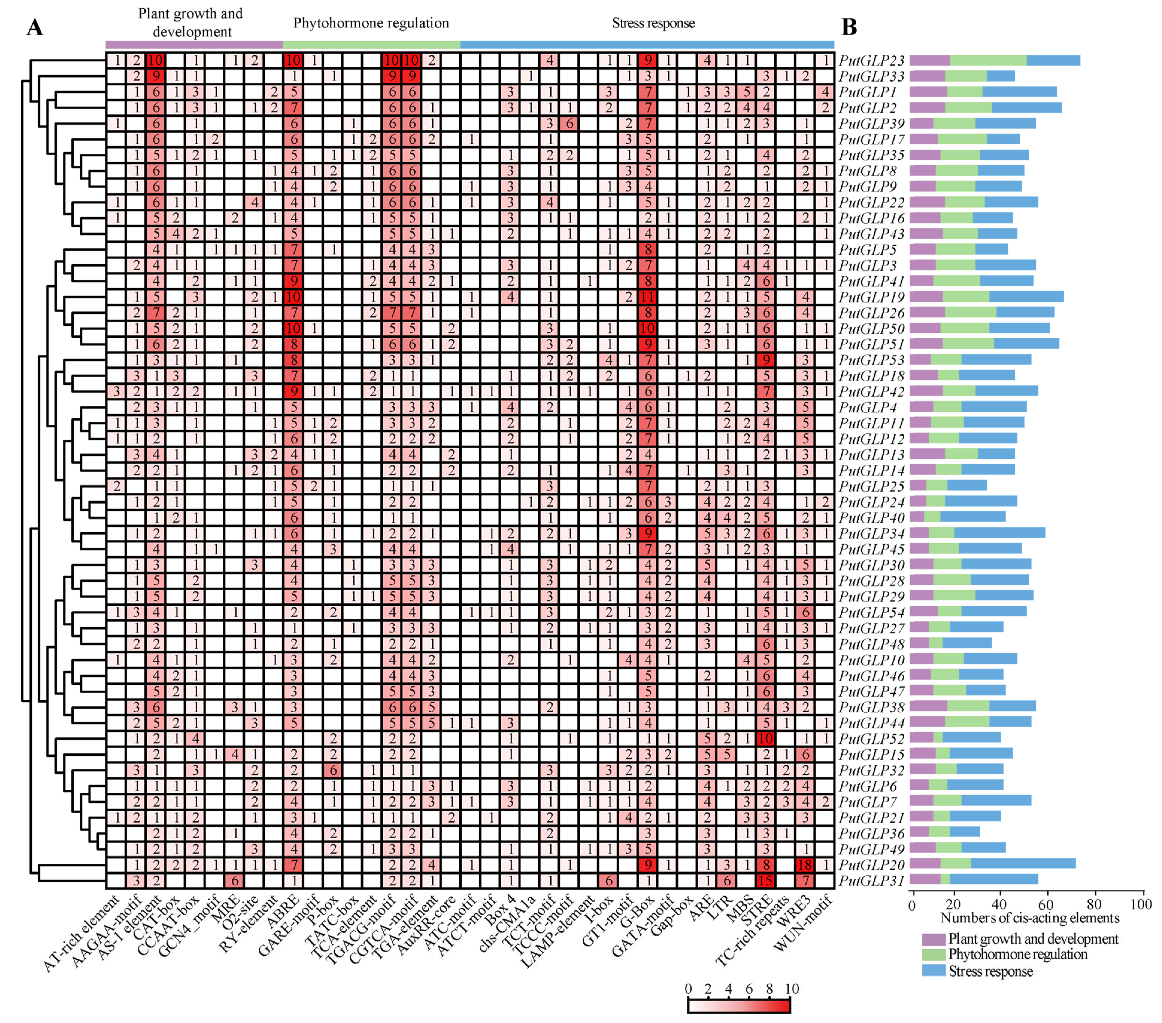 Plants 14 02259 g004