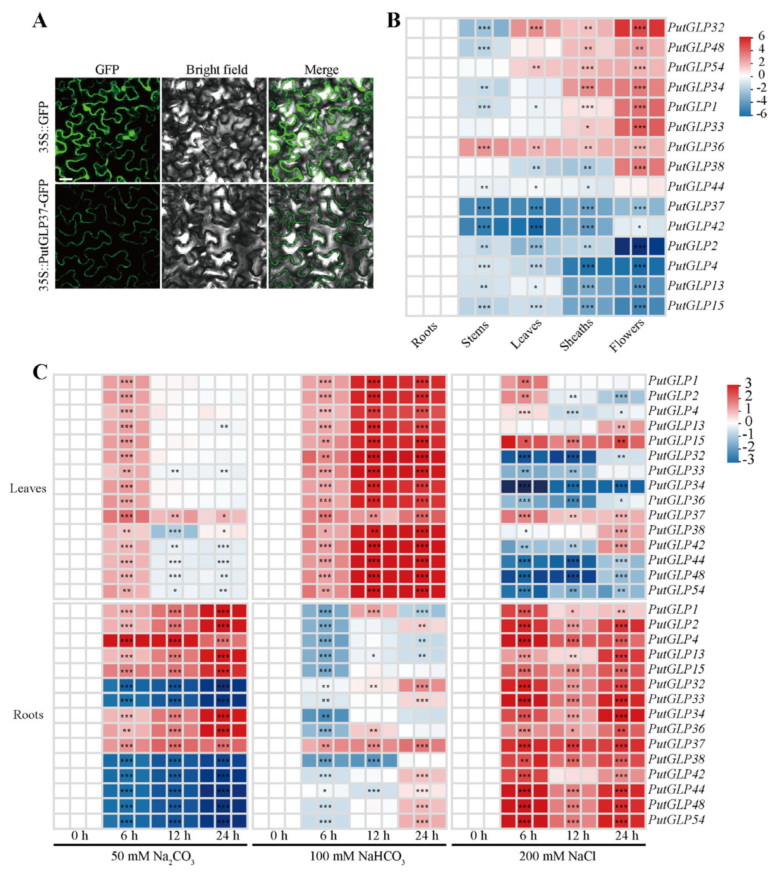 Plants 14 02259 g005
