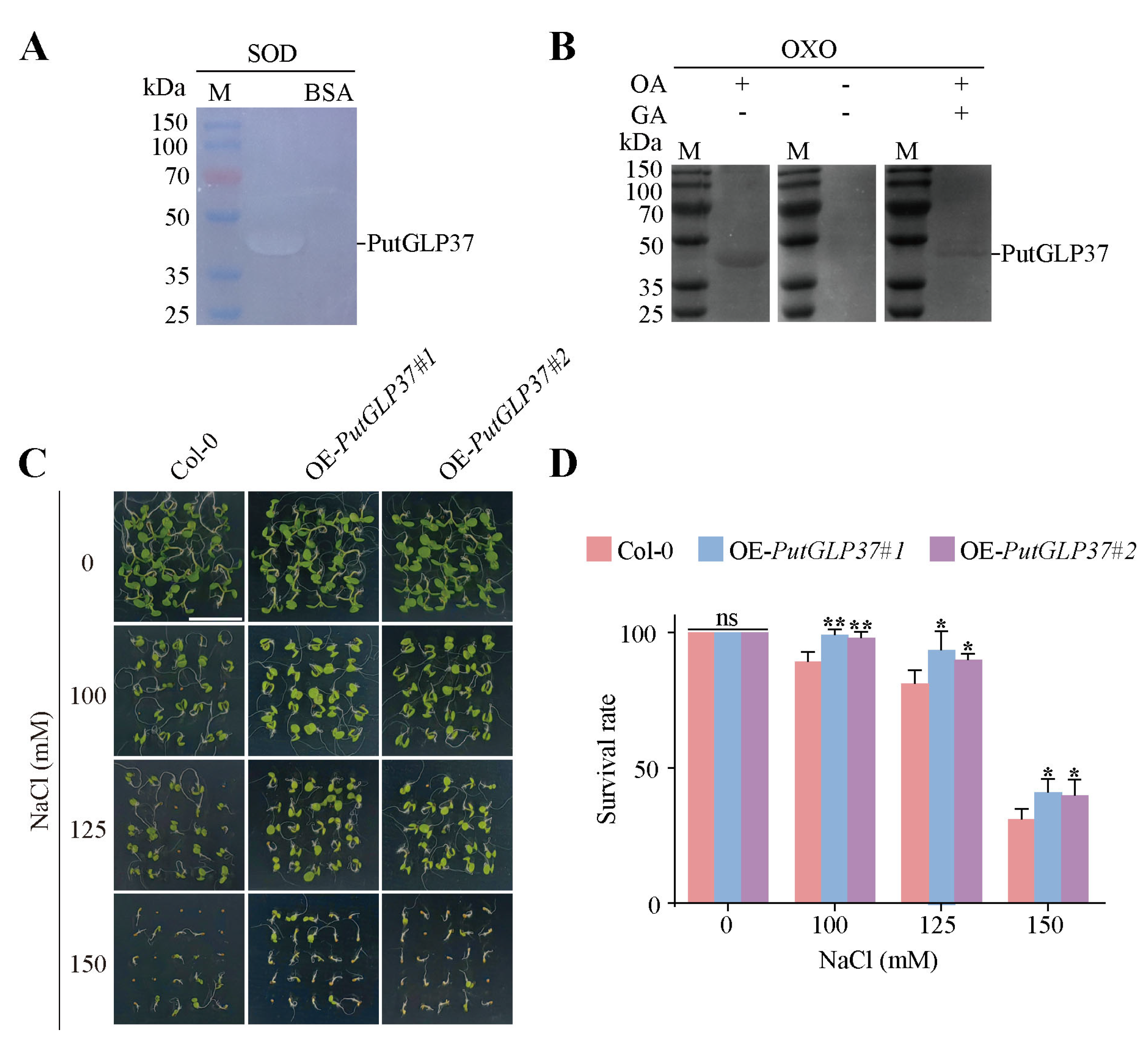 Plants 14 02259 g006