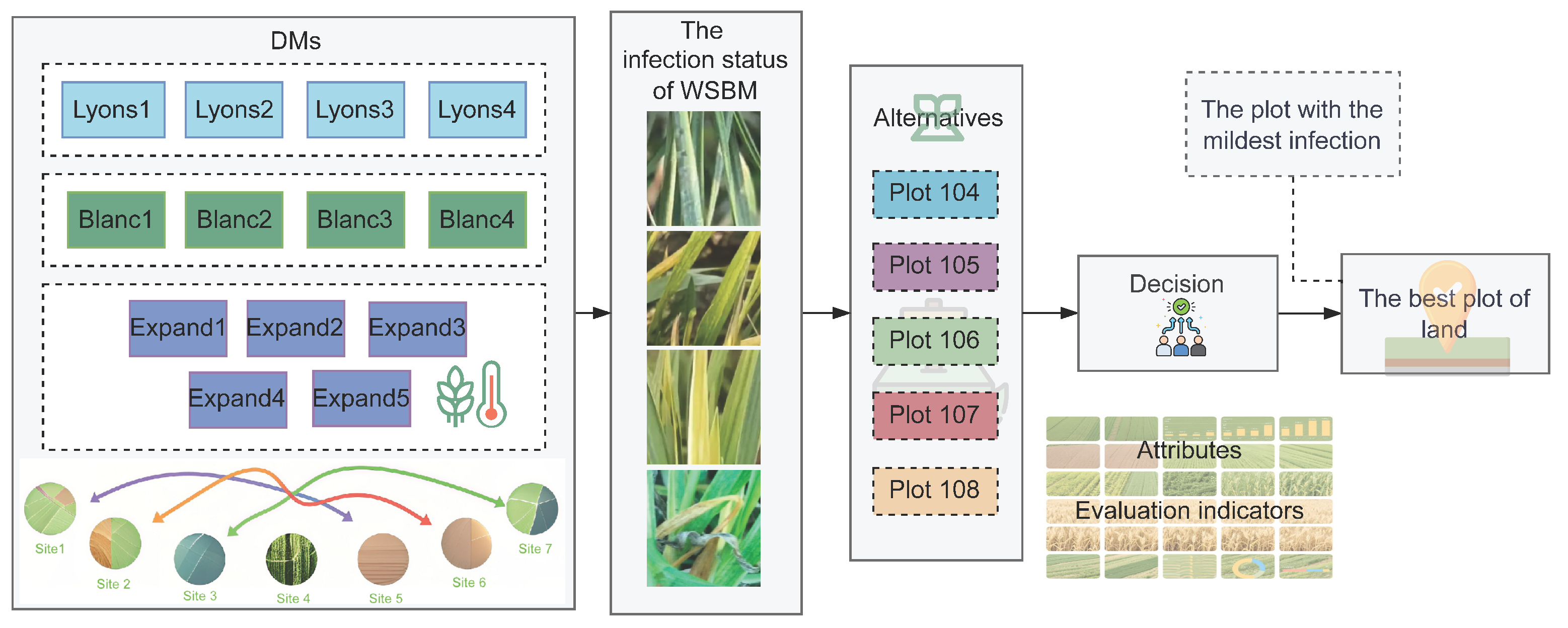 Plants 14 02260 g002