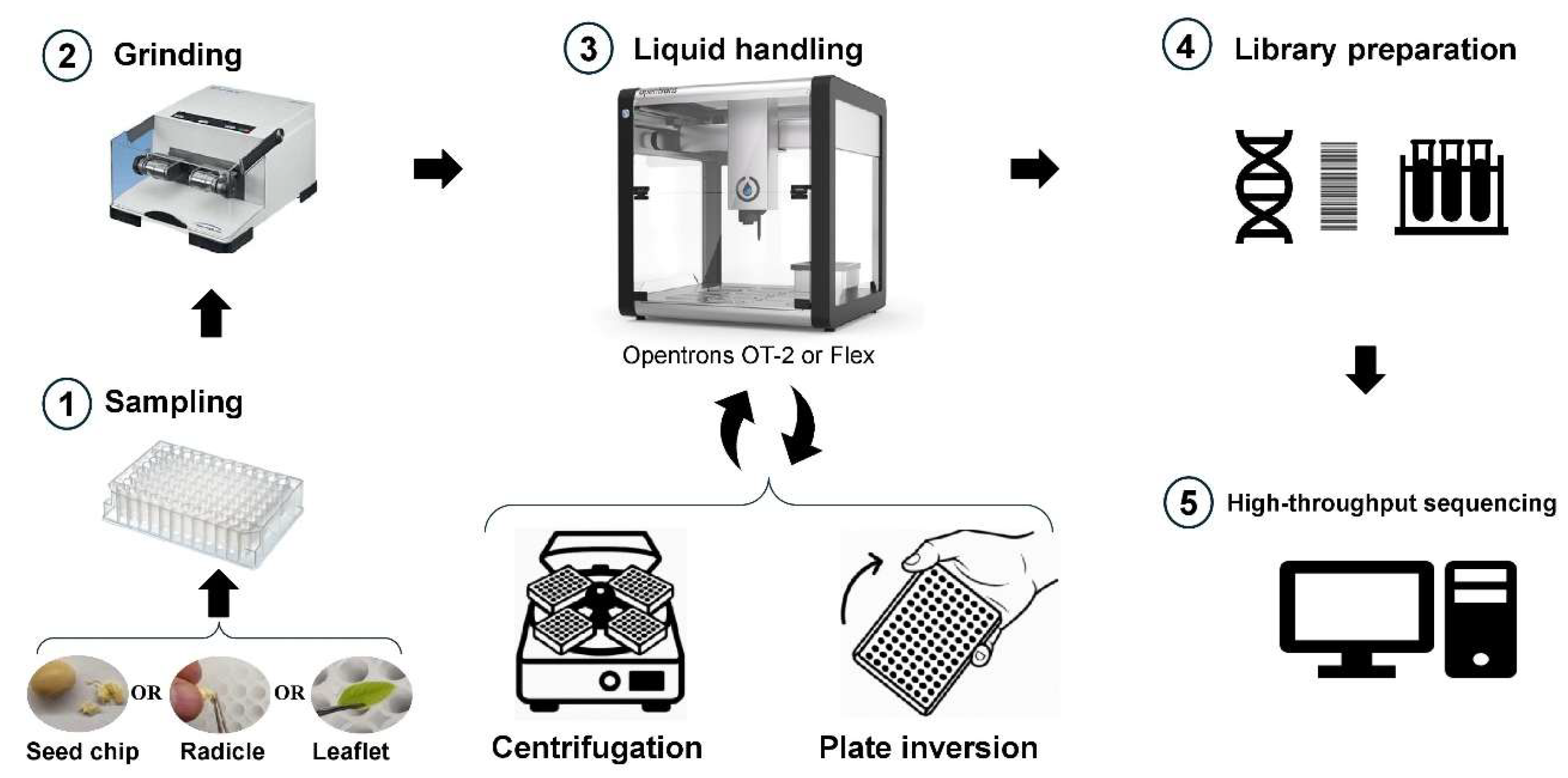 Plants 14 02263 g001