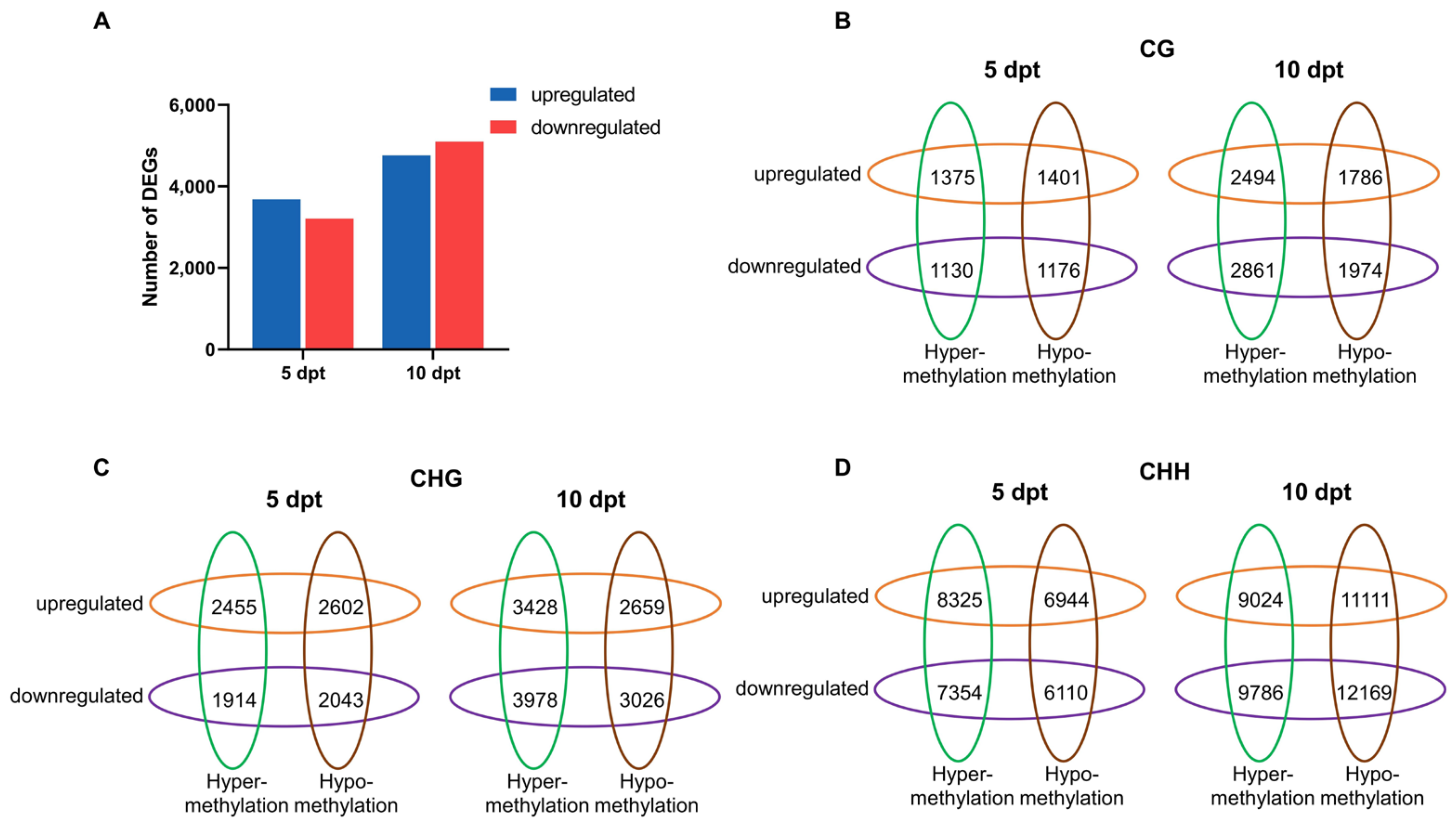 Plants 14 02267 g005