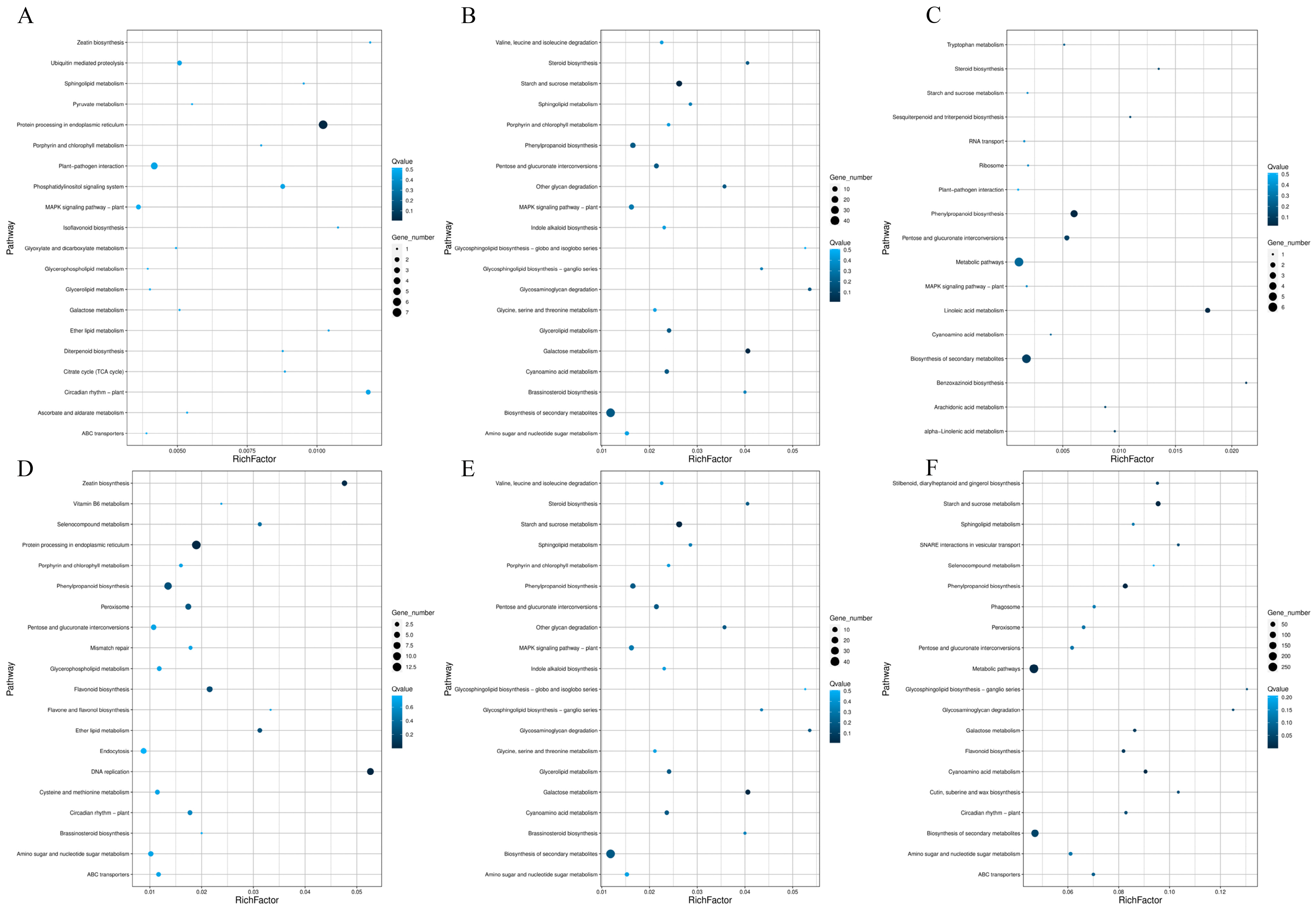 Plants 14 02269 g004 Plants 14 02269 g004