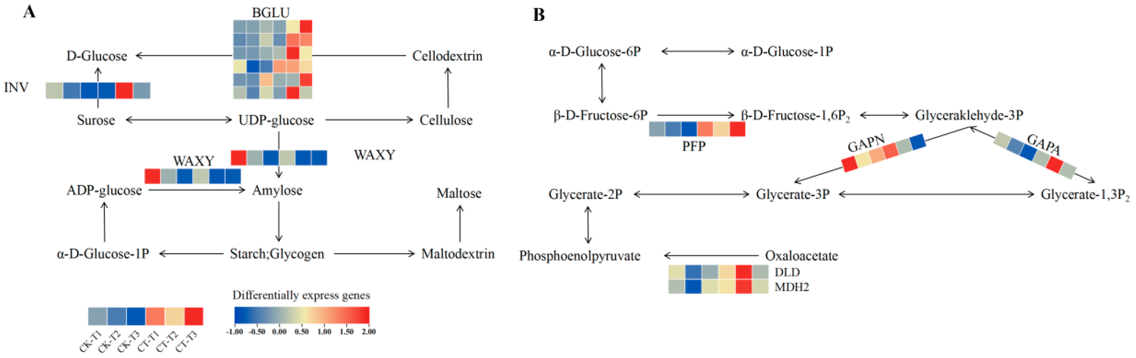 Plants 14 02269 g005 Plants 14 02269 g005
