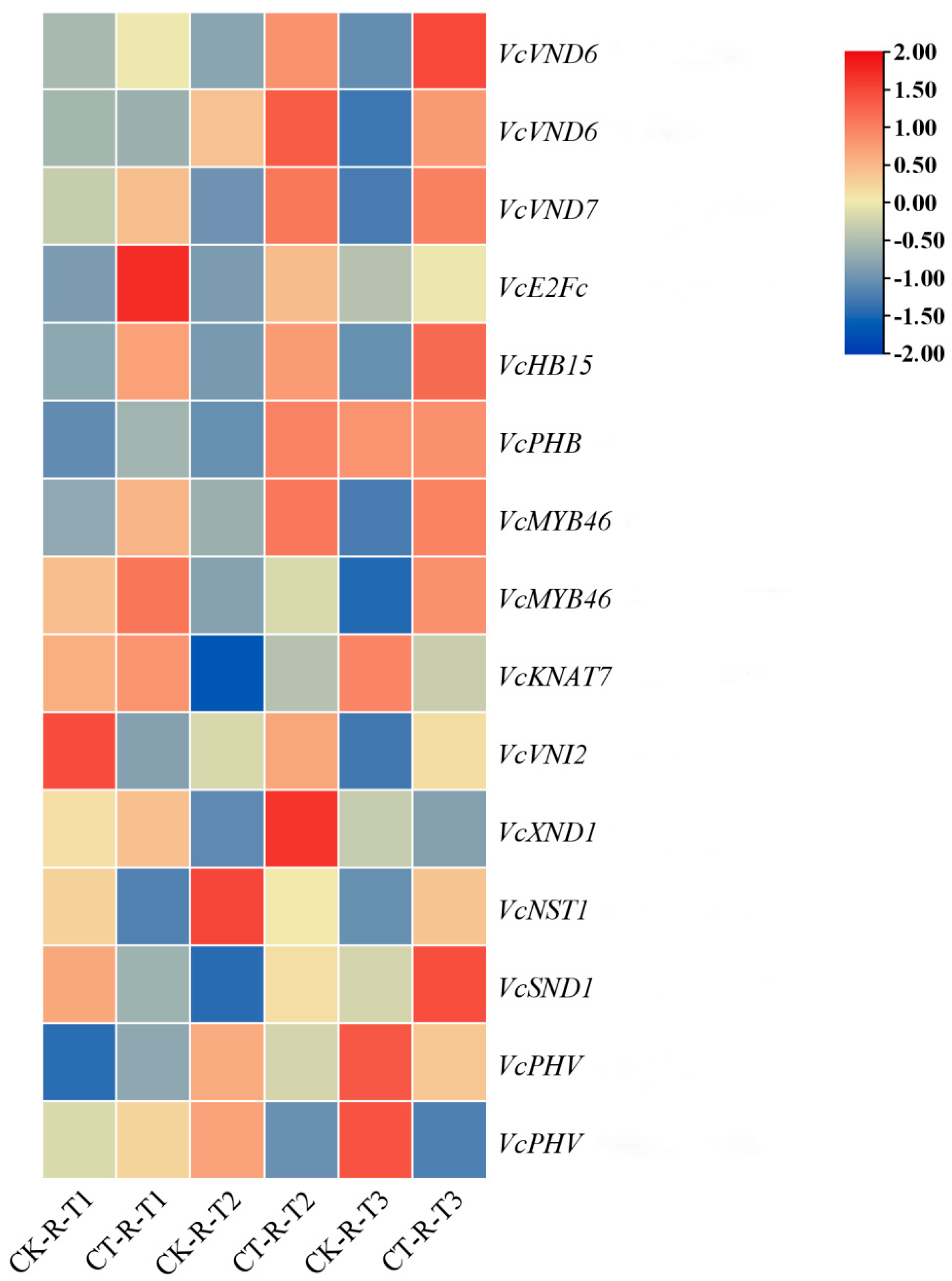 Plants 14 02269 g006 Plants 14 02269 g006