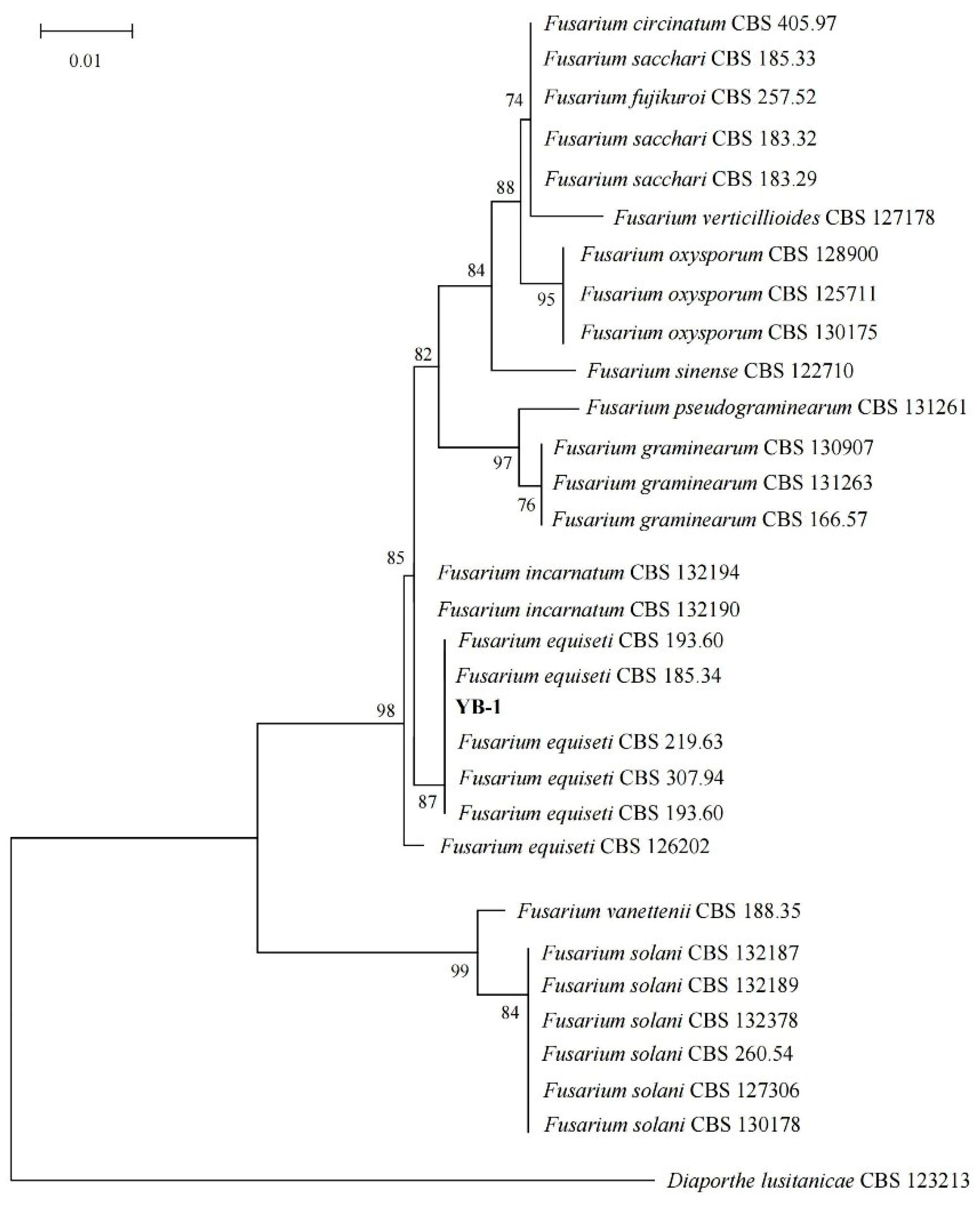 Plants 14 02272 g004