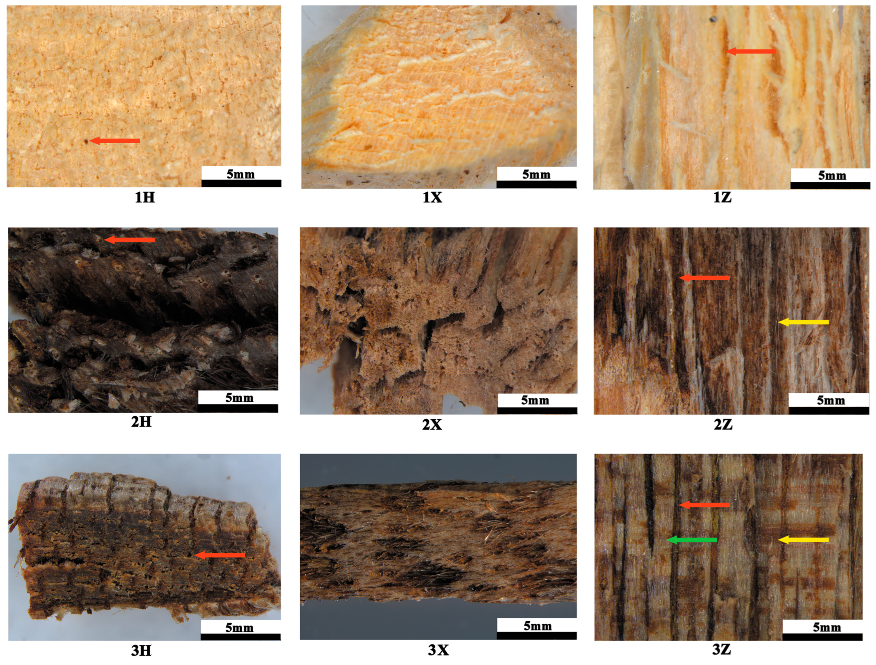 Plants 14 02272 g006