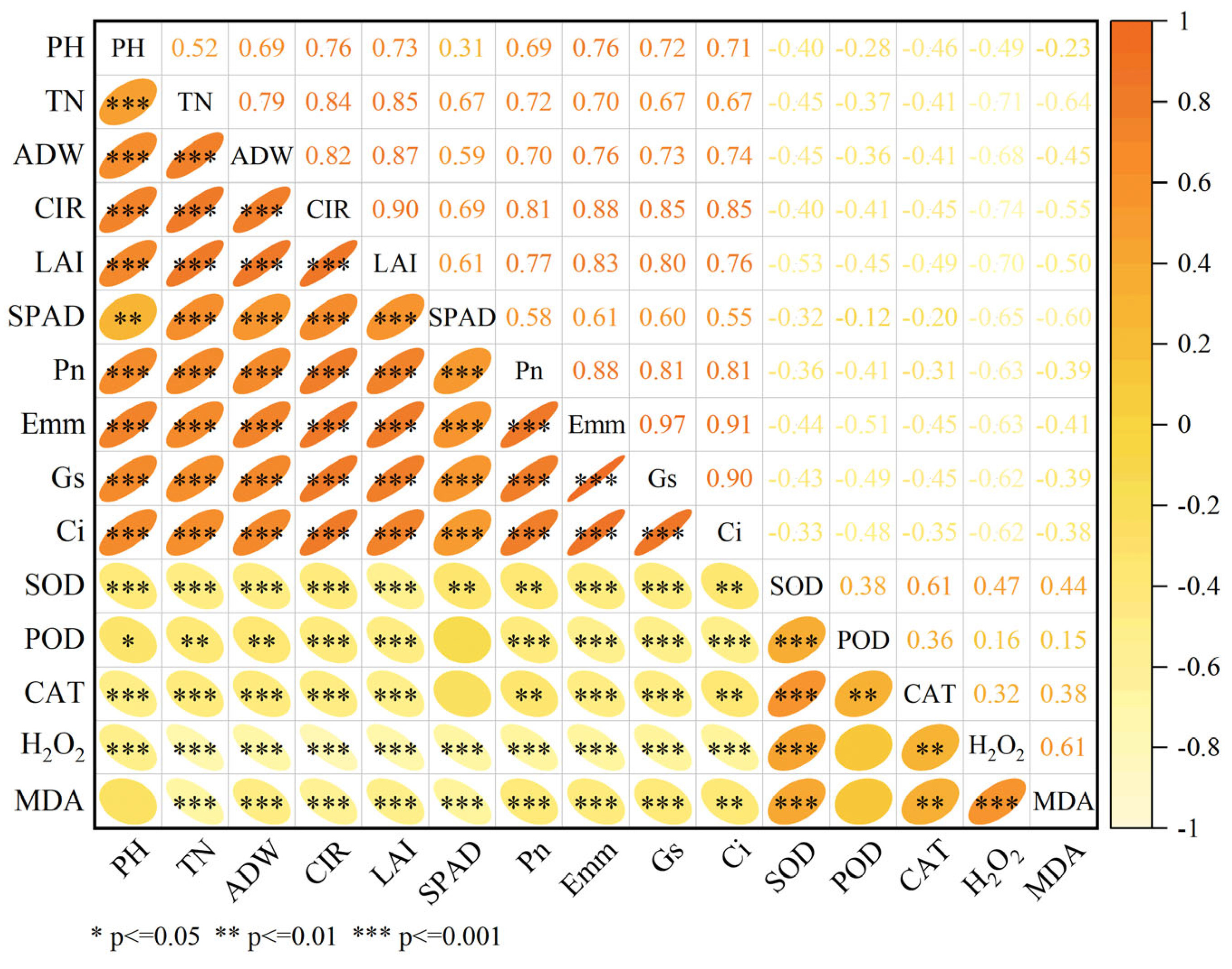 Plants 14 02278 g007