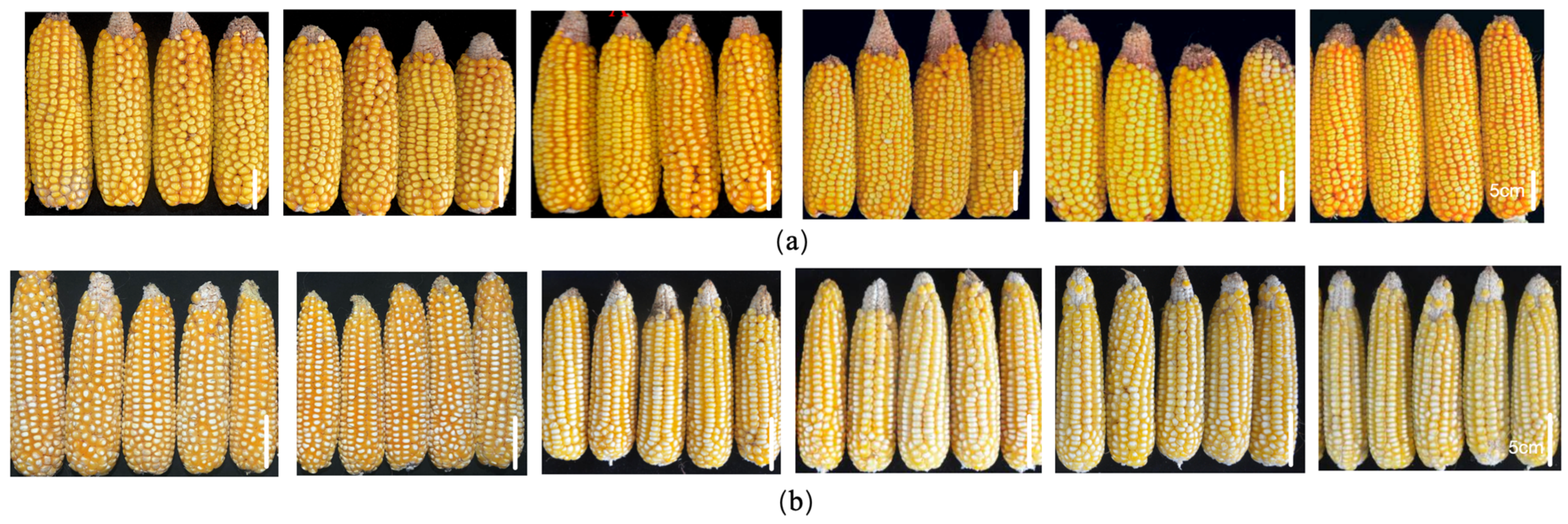 Plants 14 02280 g002