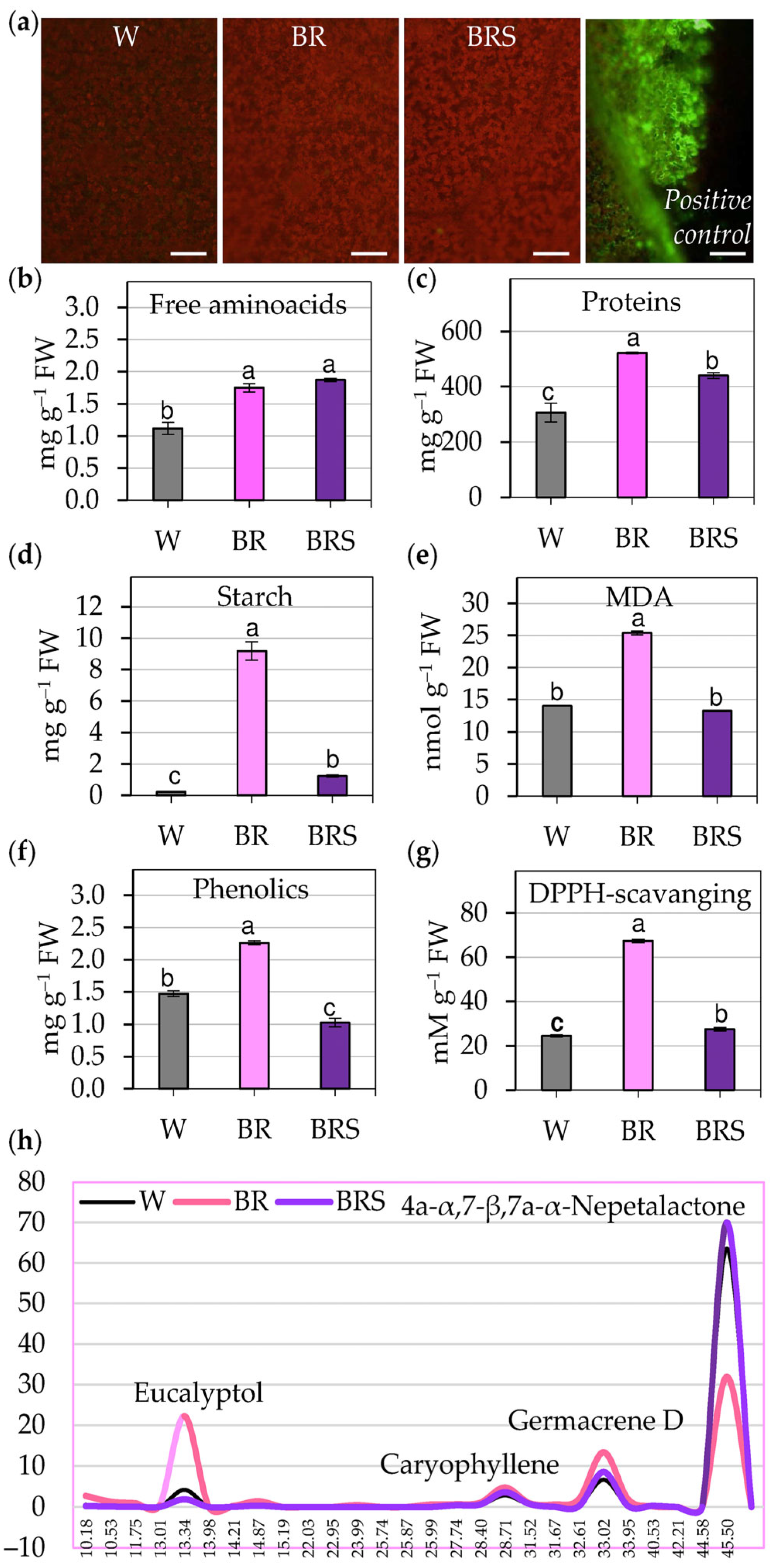 Plants 14 02285 g002