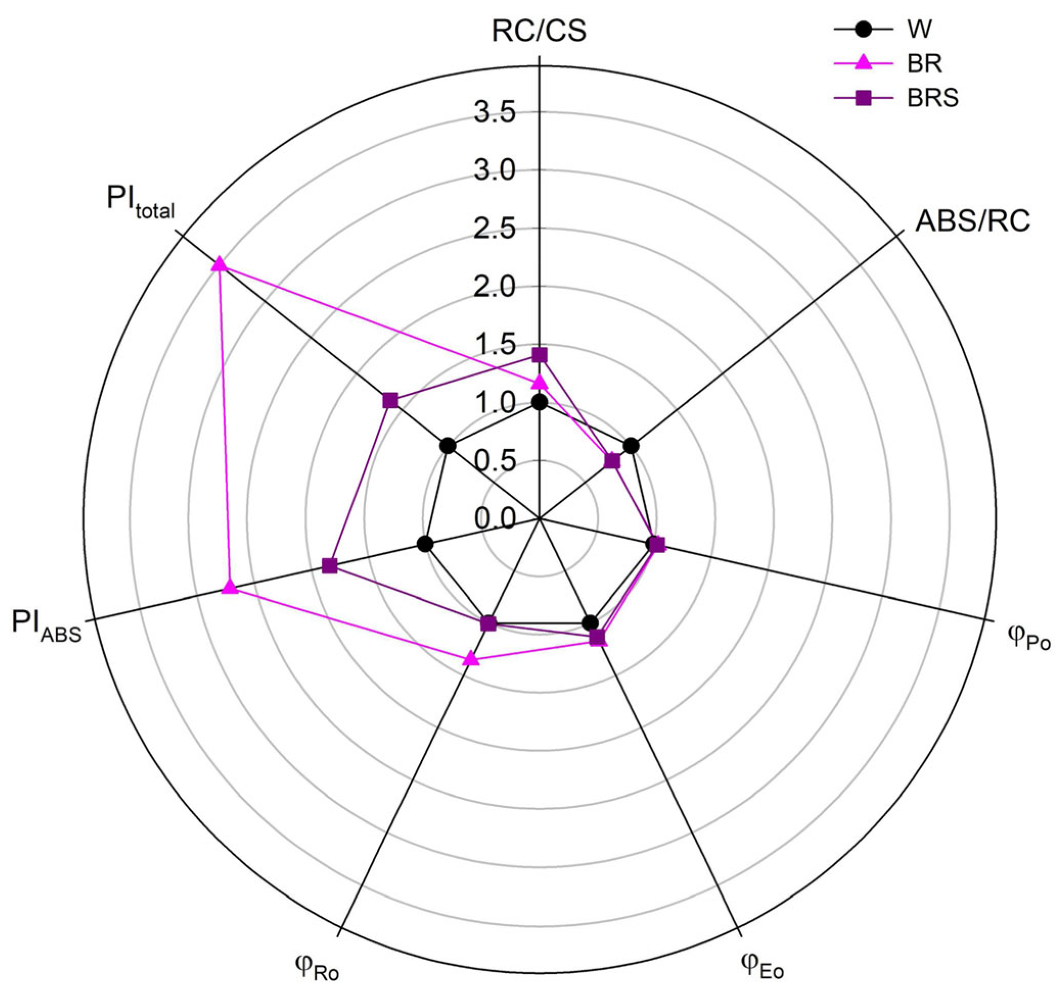 Plants 14 02285 g006