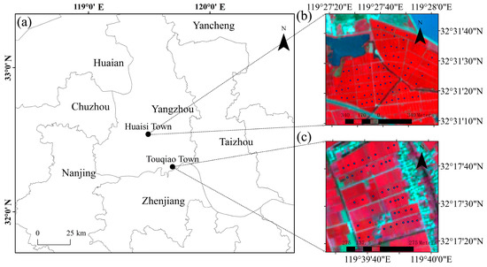 Advanced Estimation of Winter Wheat Leaf's Relative
