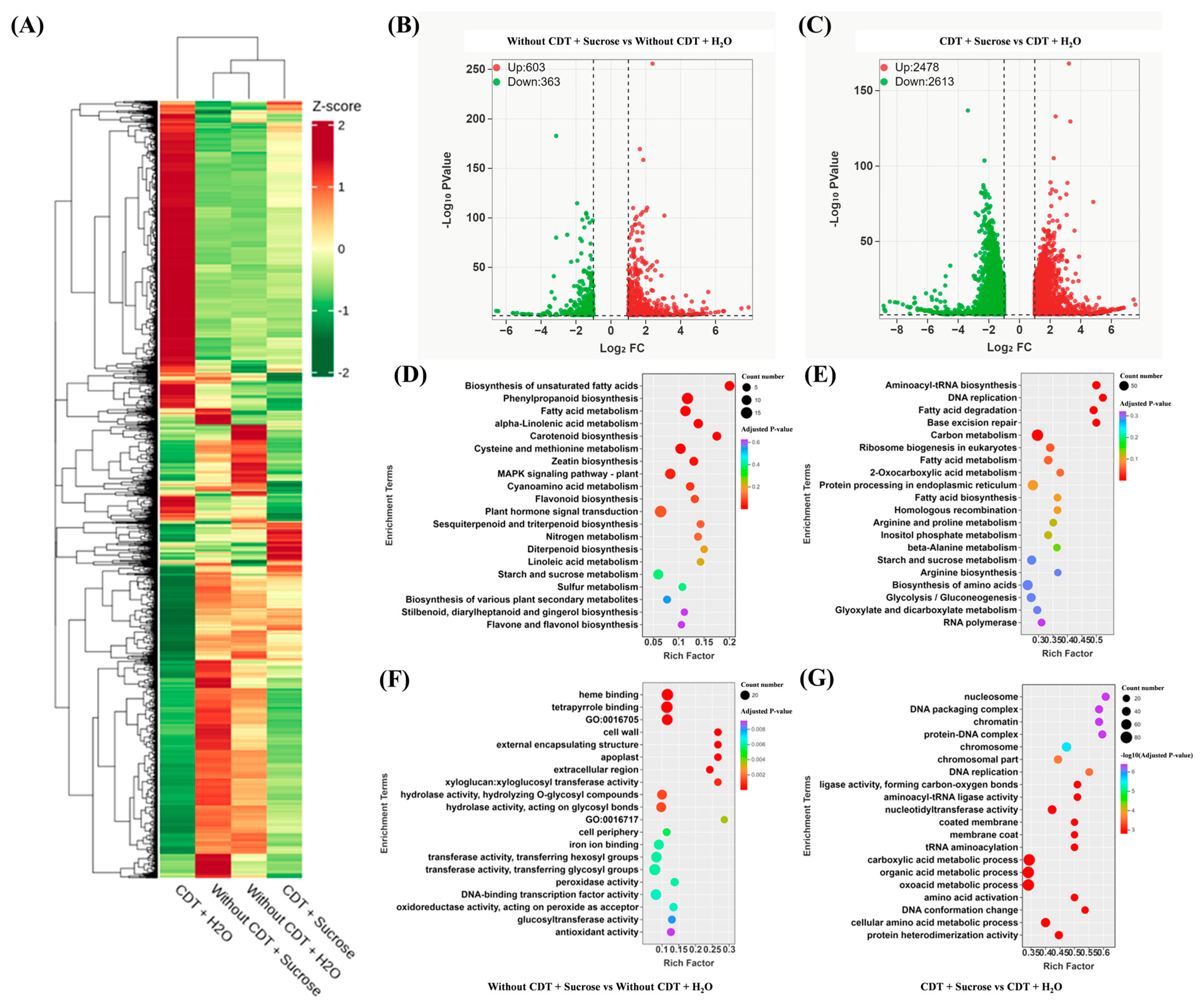 Plants 14 02301 g002