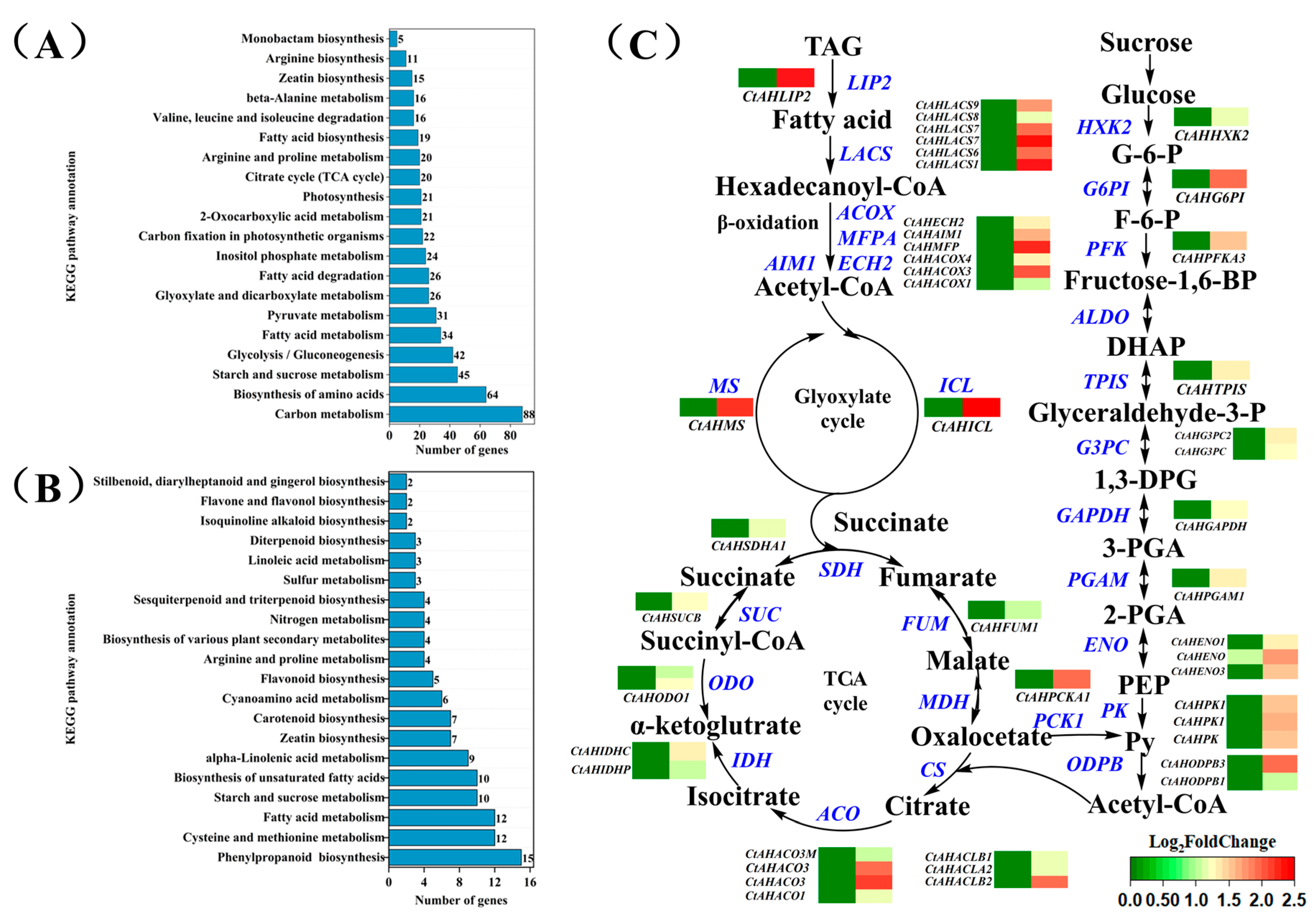 Plants 14 02301 g003