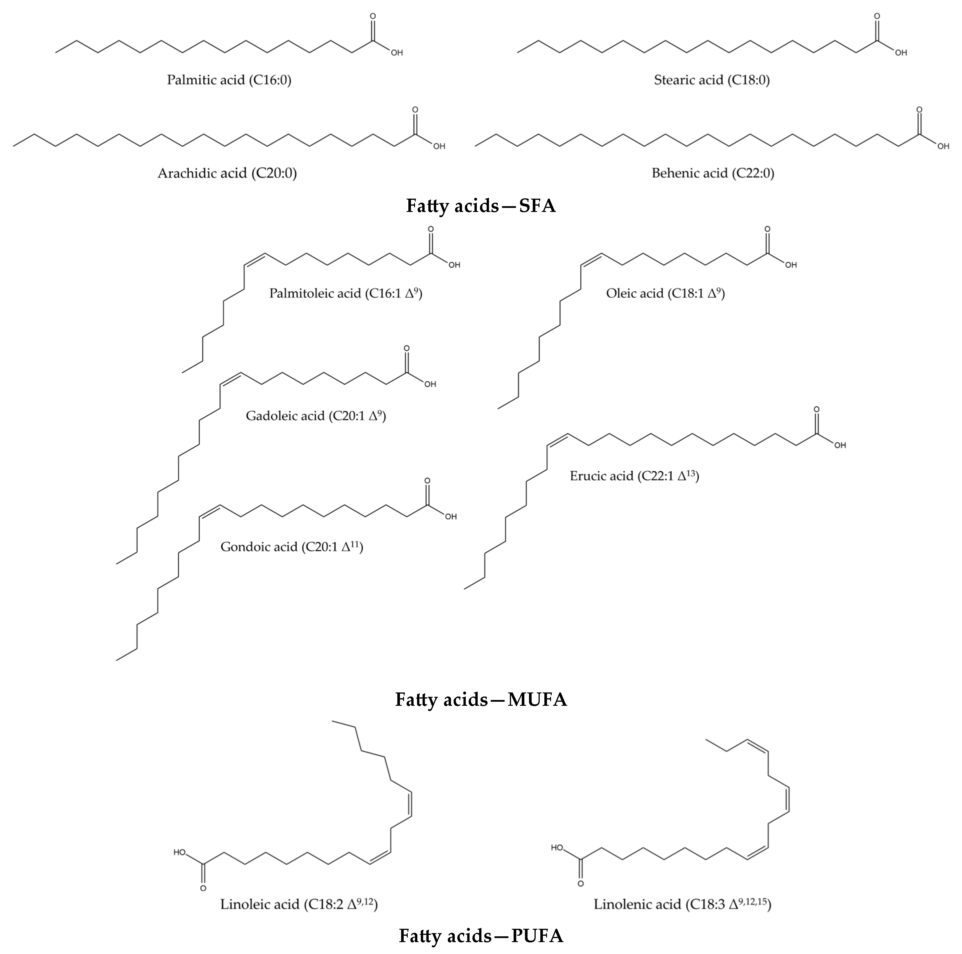 Plants 14 02304 g003