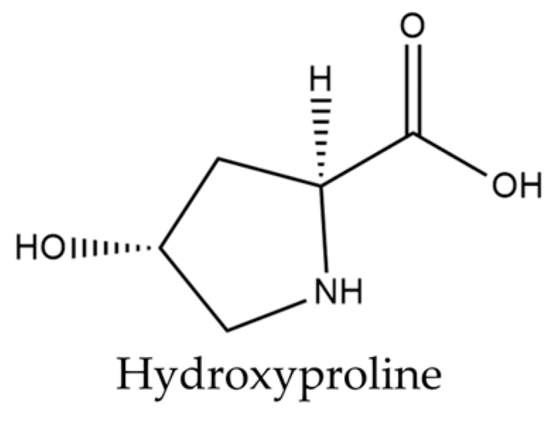 Plants 14 02304 g004