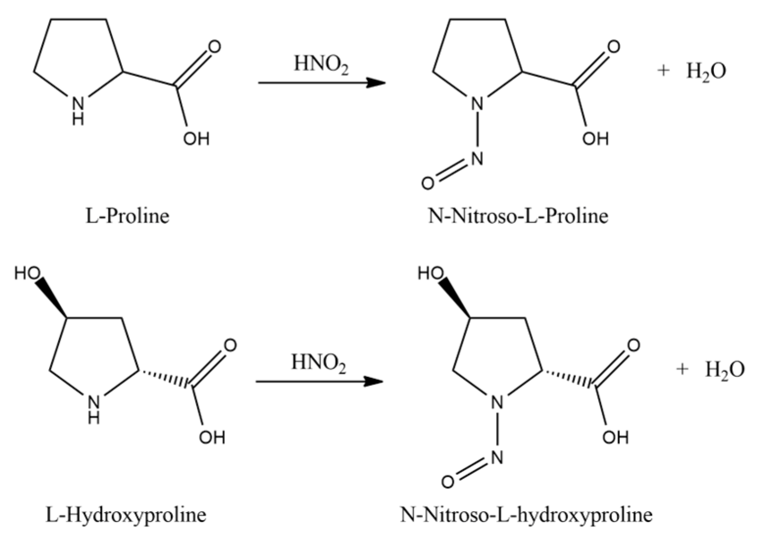 Plants 14 02304 g005