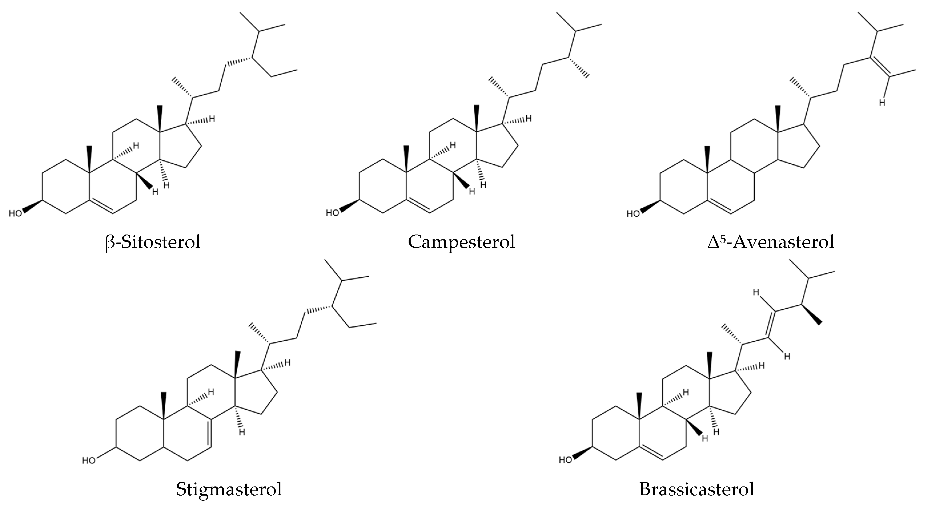 Plants 14 02304 g006