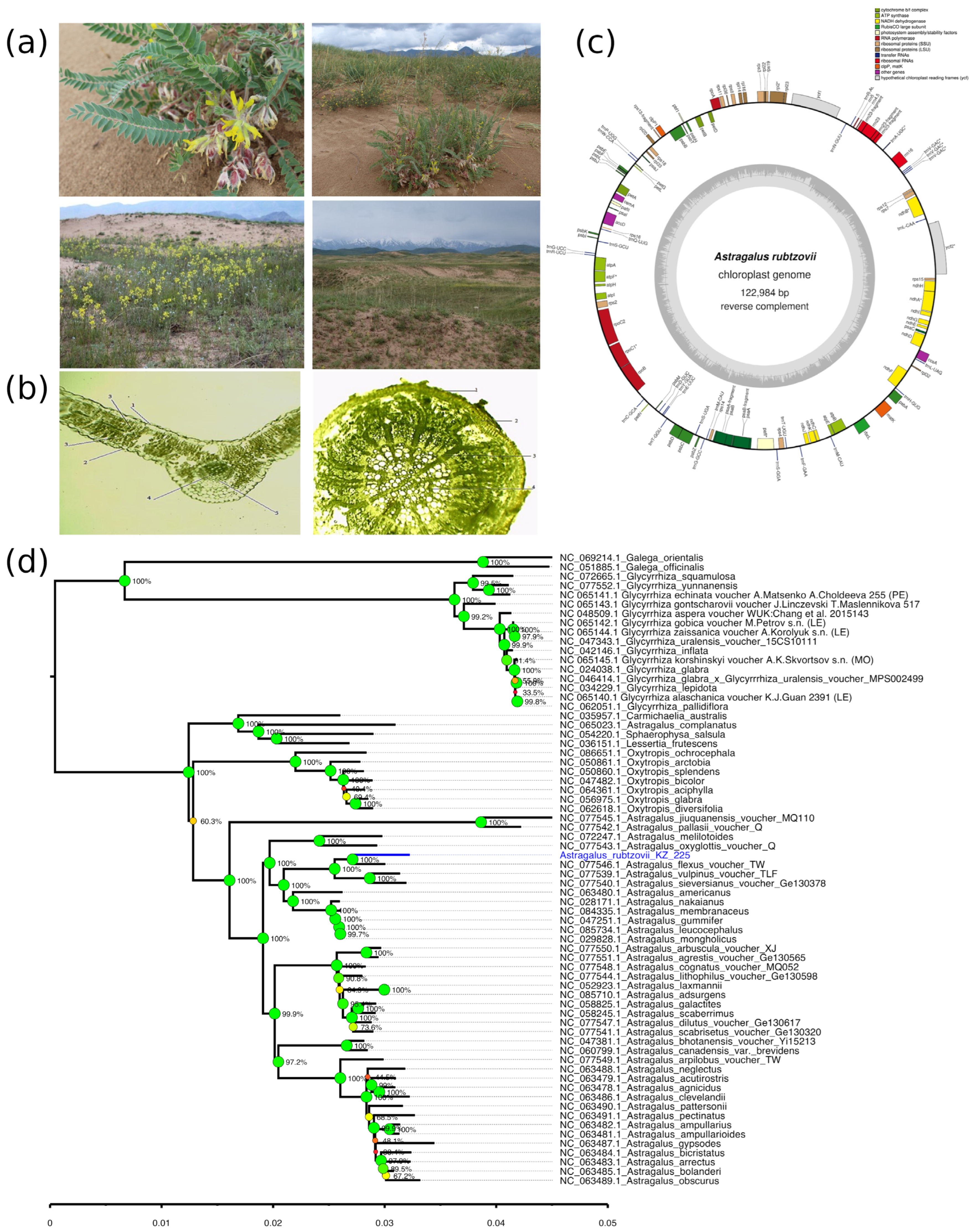 Plants 14 02305 g002