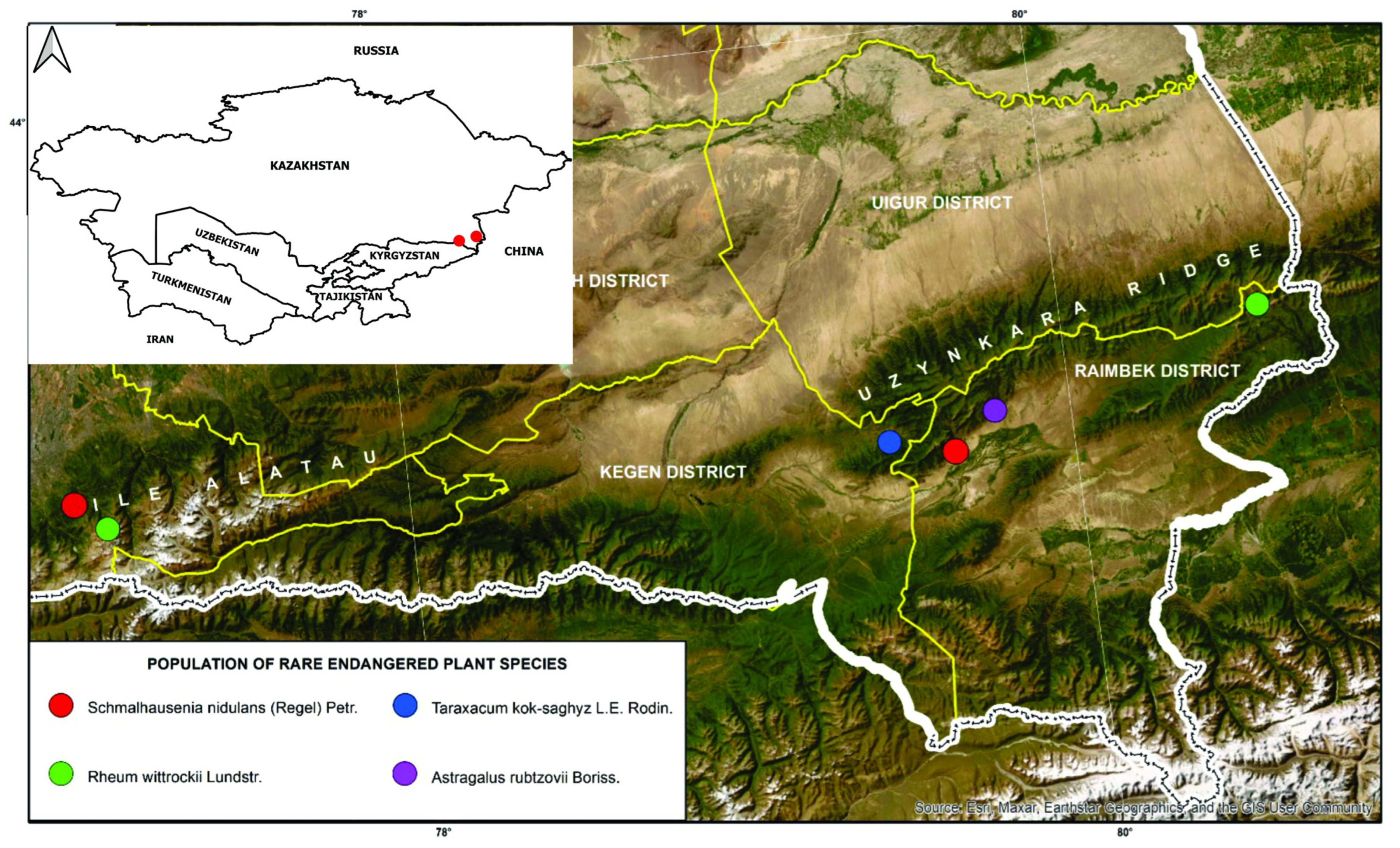 Plants 14 02305 g005