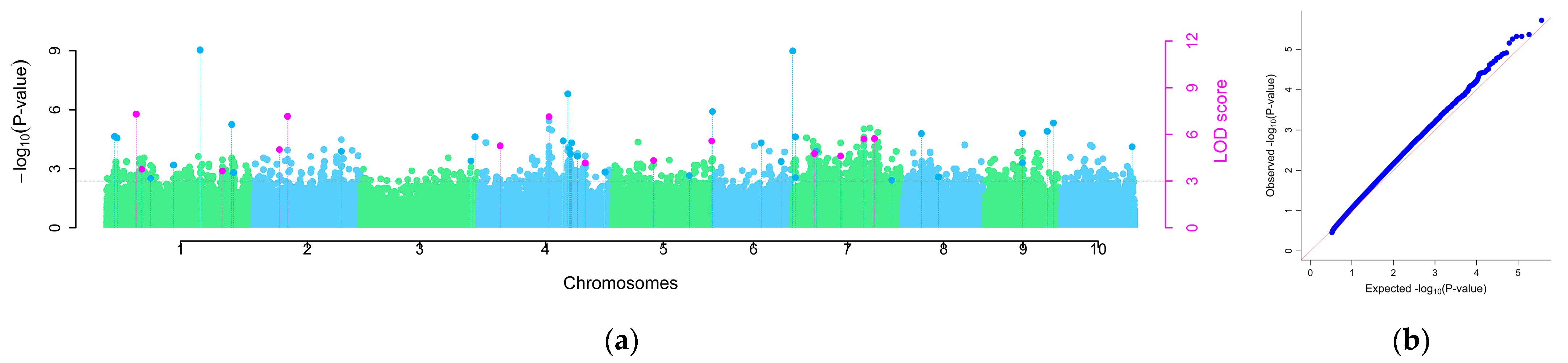 Plants 14 02315 g002