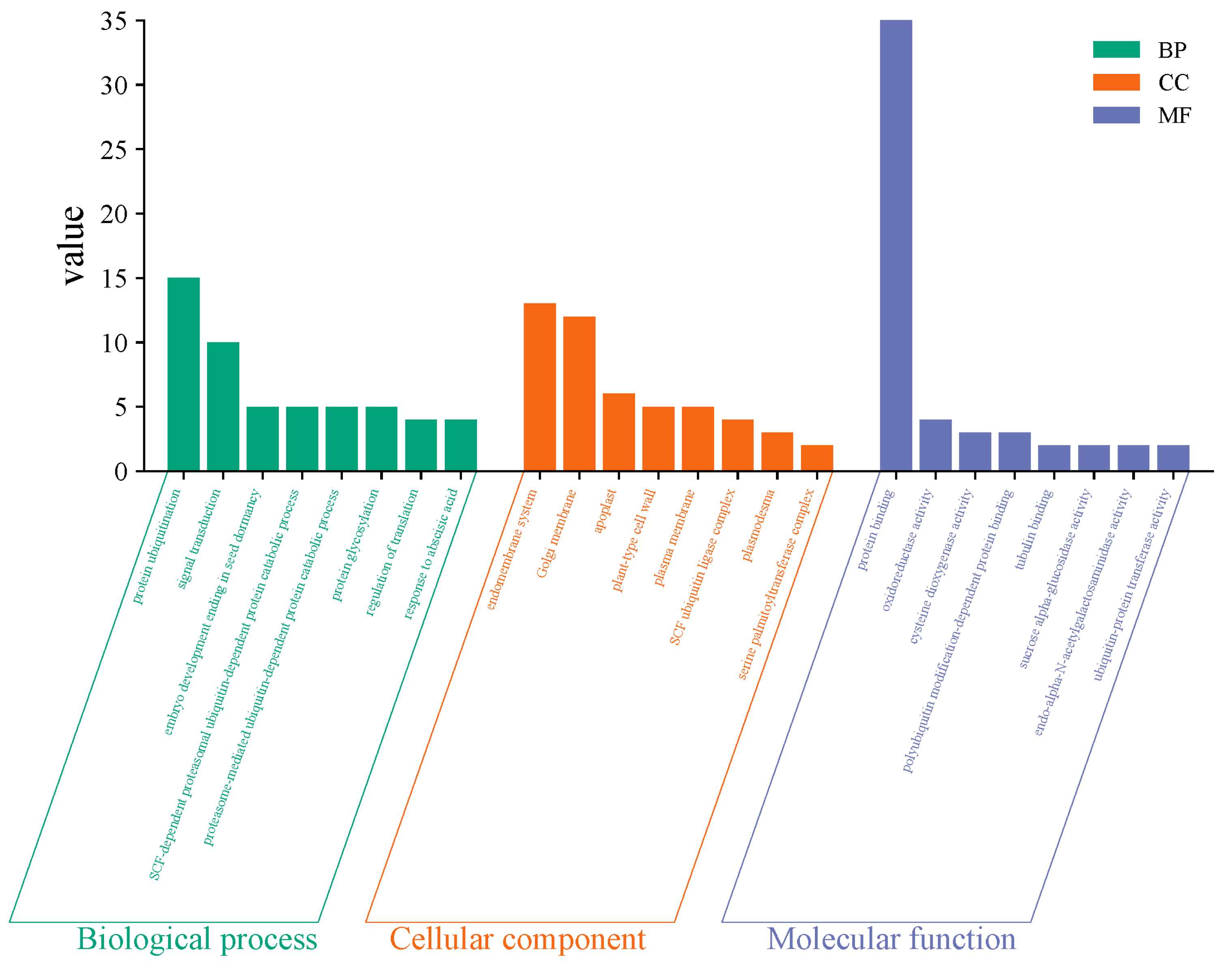 Plants 14 02315 g004