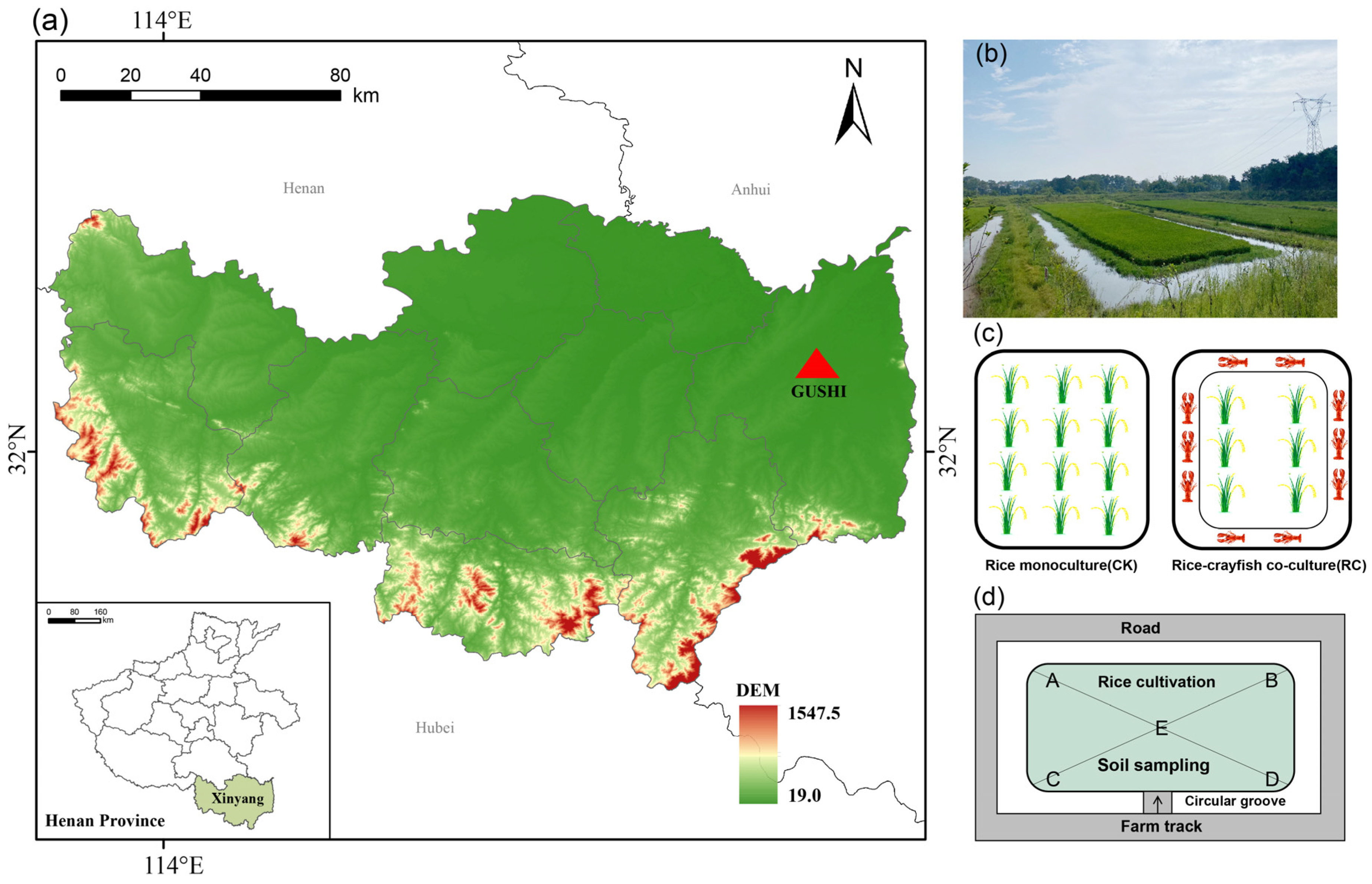 Plants 14 02320 g007