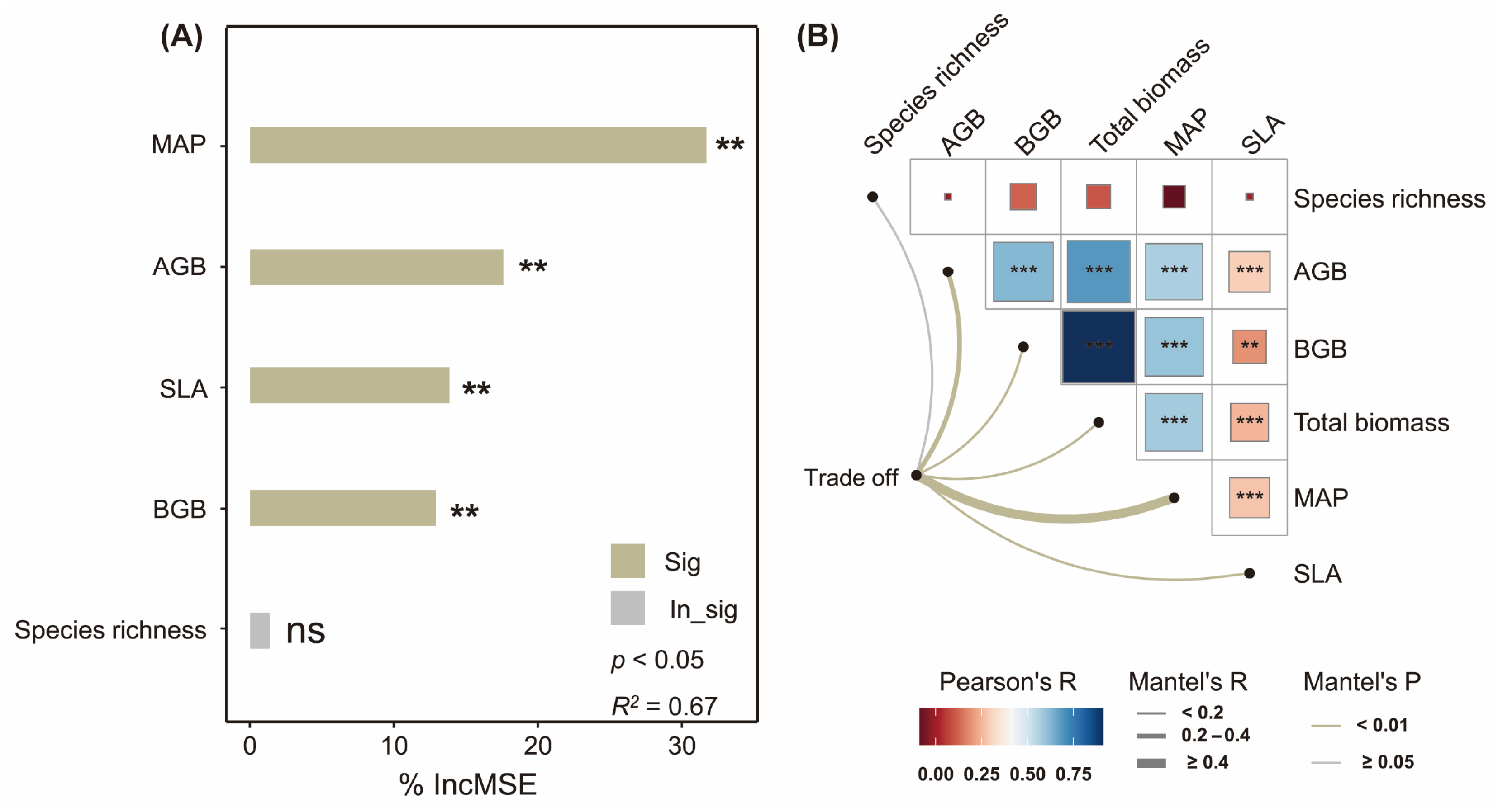 Plants 14 02325 g003