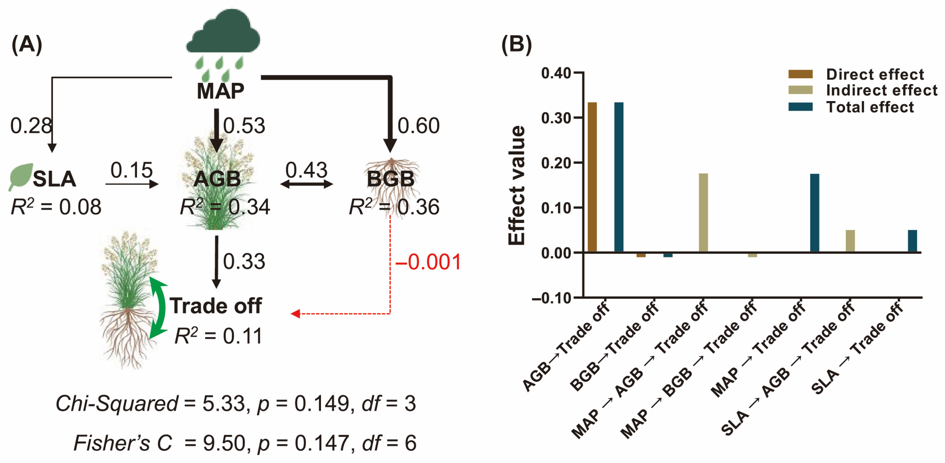 Plants 14 02325 g004