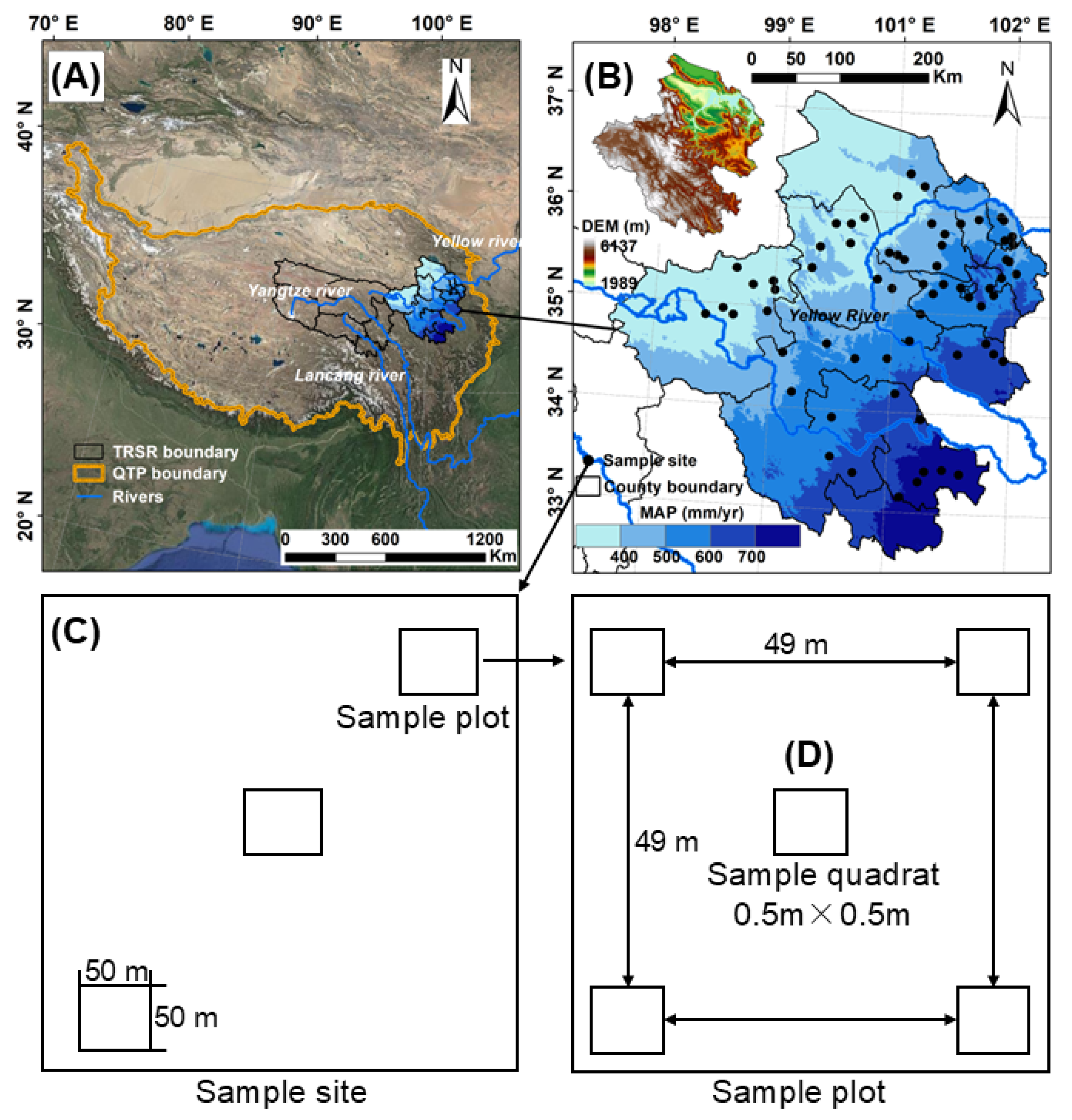 Plants 14 02325 g005