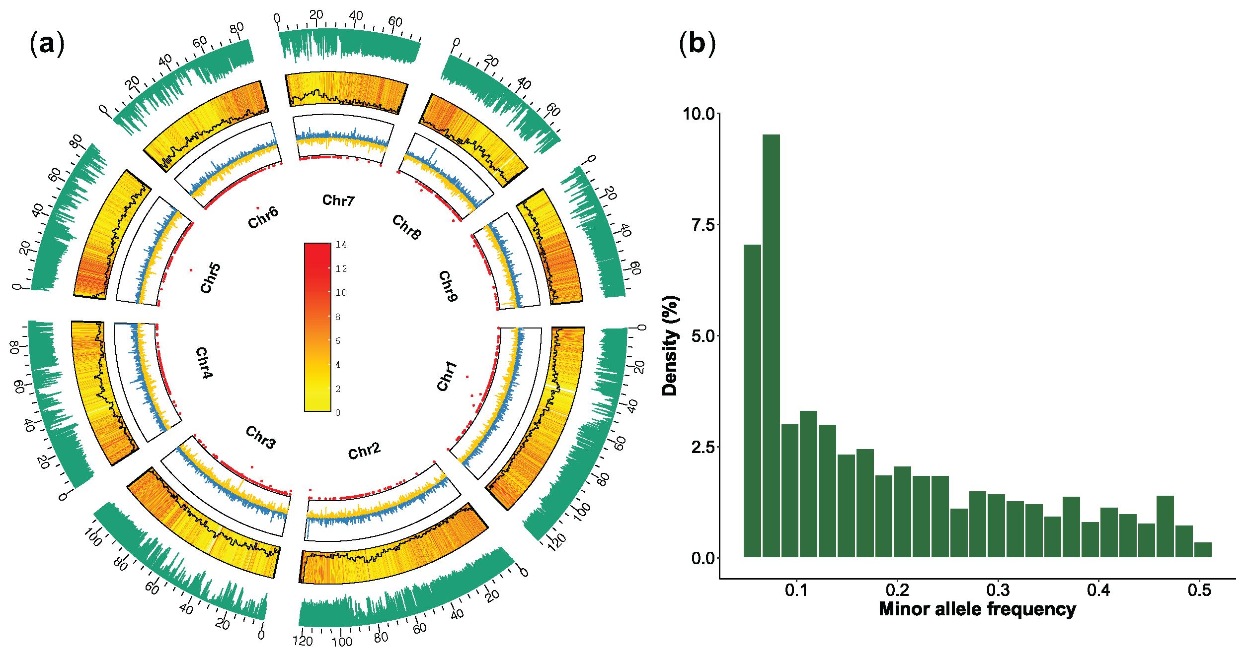 Plants 14 02328 g002