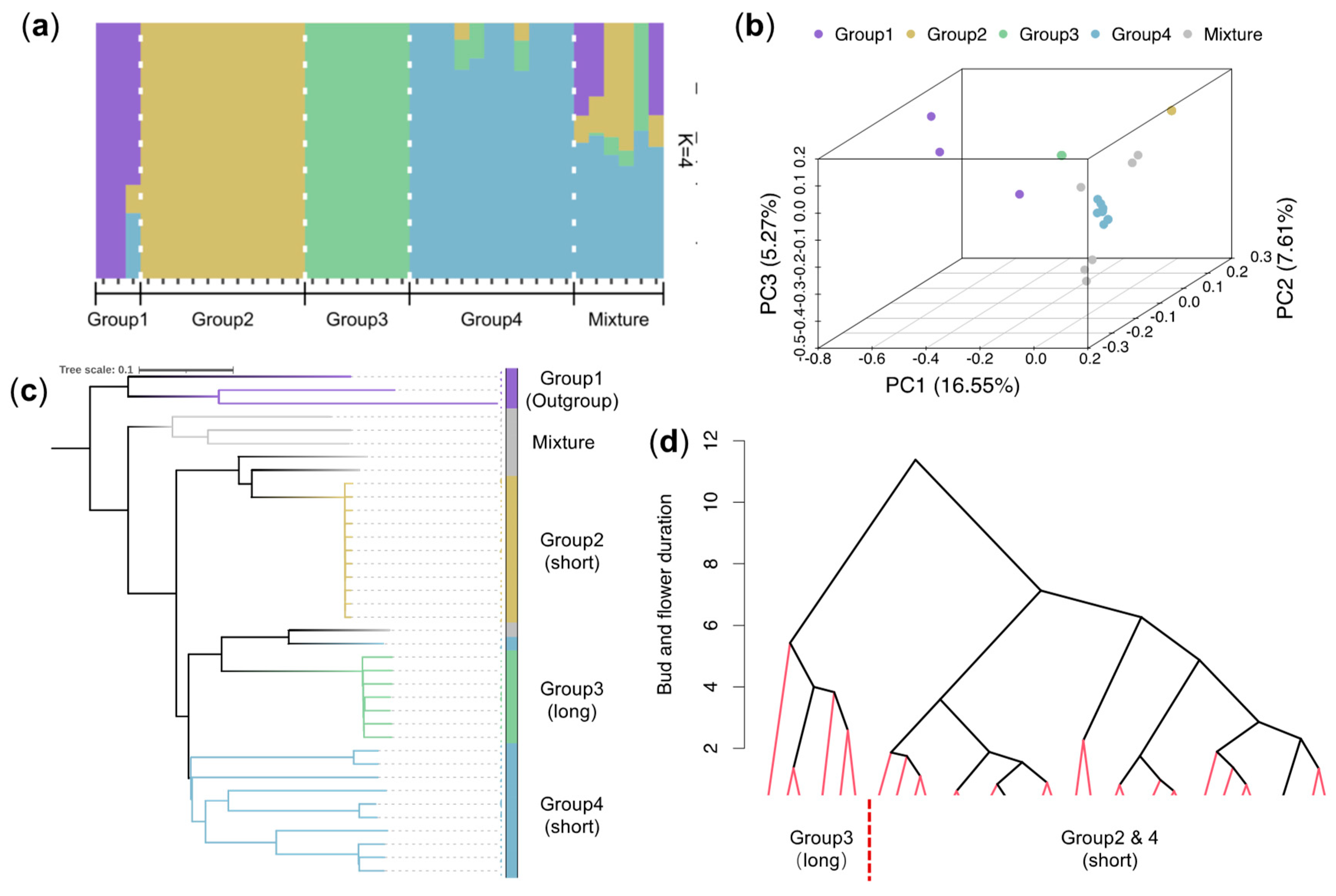 Plants 14 02328 g003