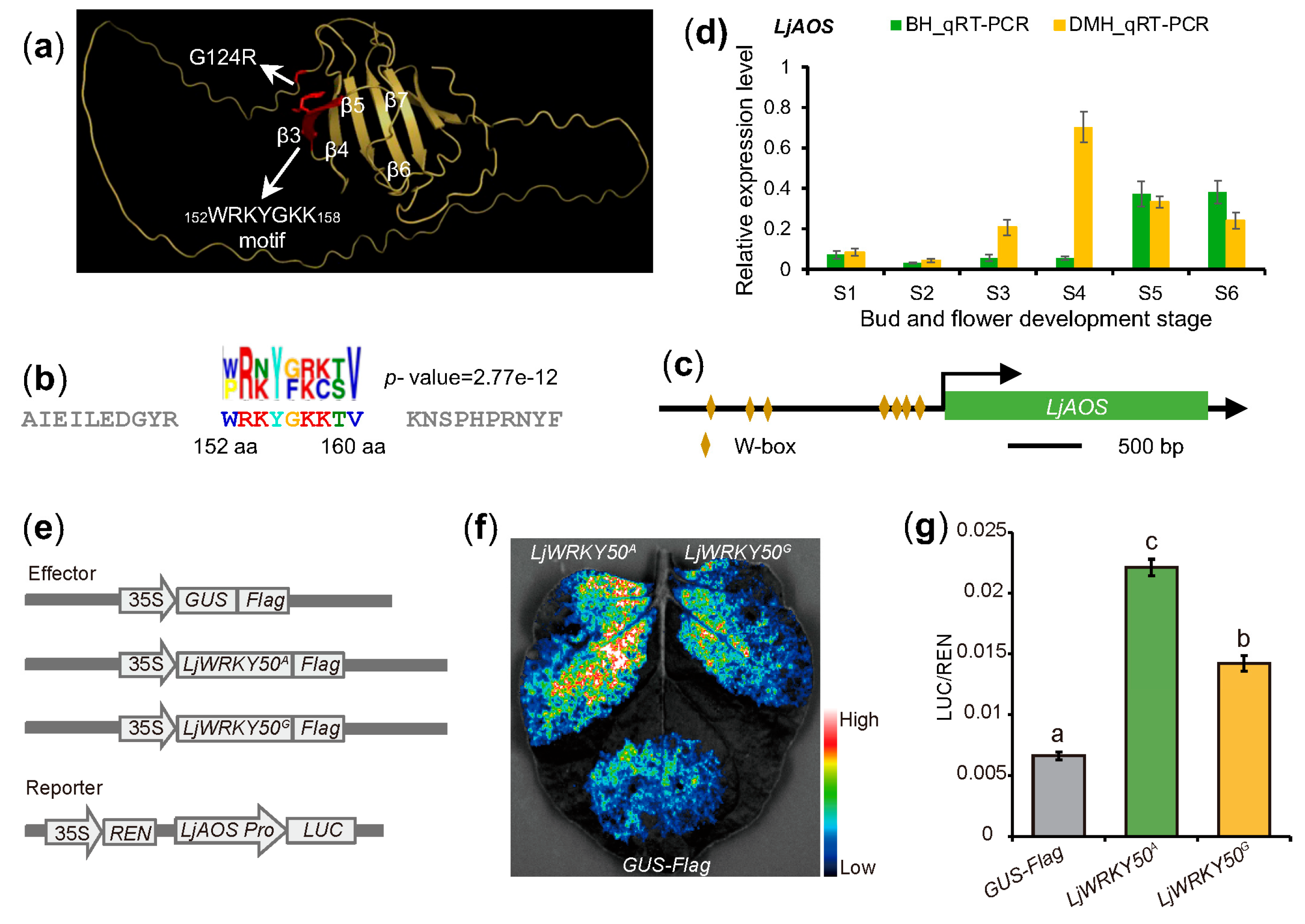 Plants 14 02328 g005