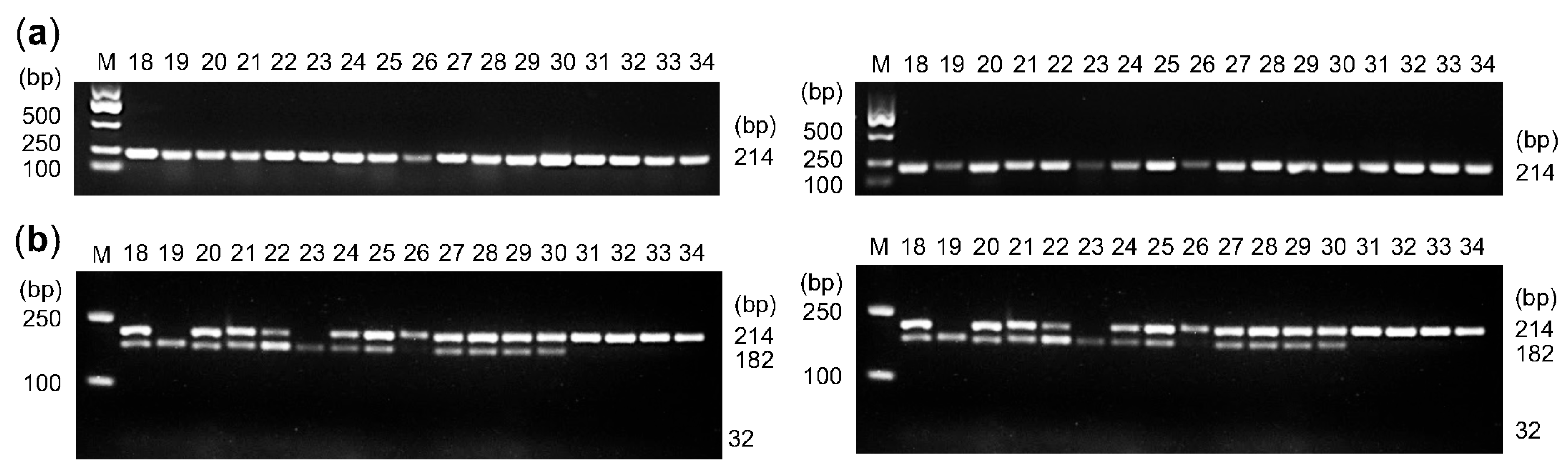 Plants 14 02328 g006