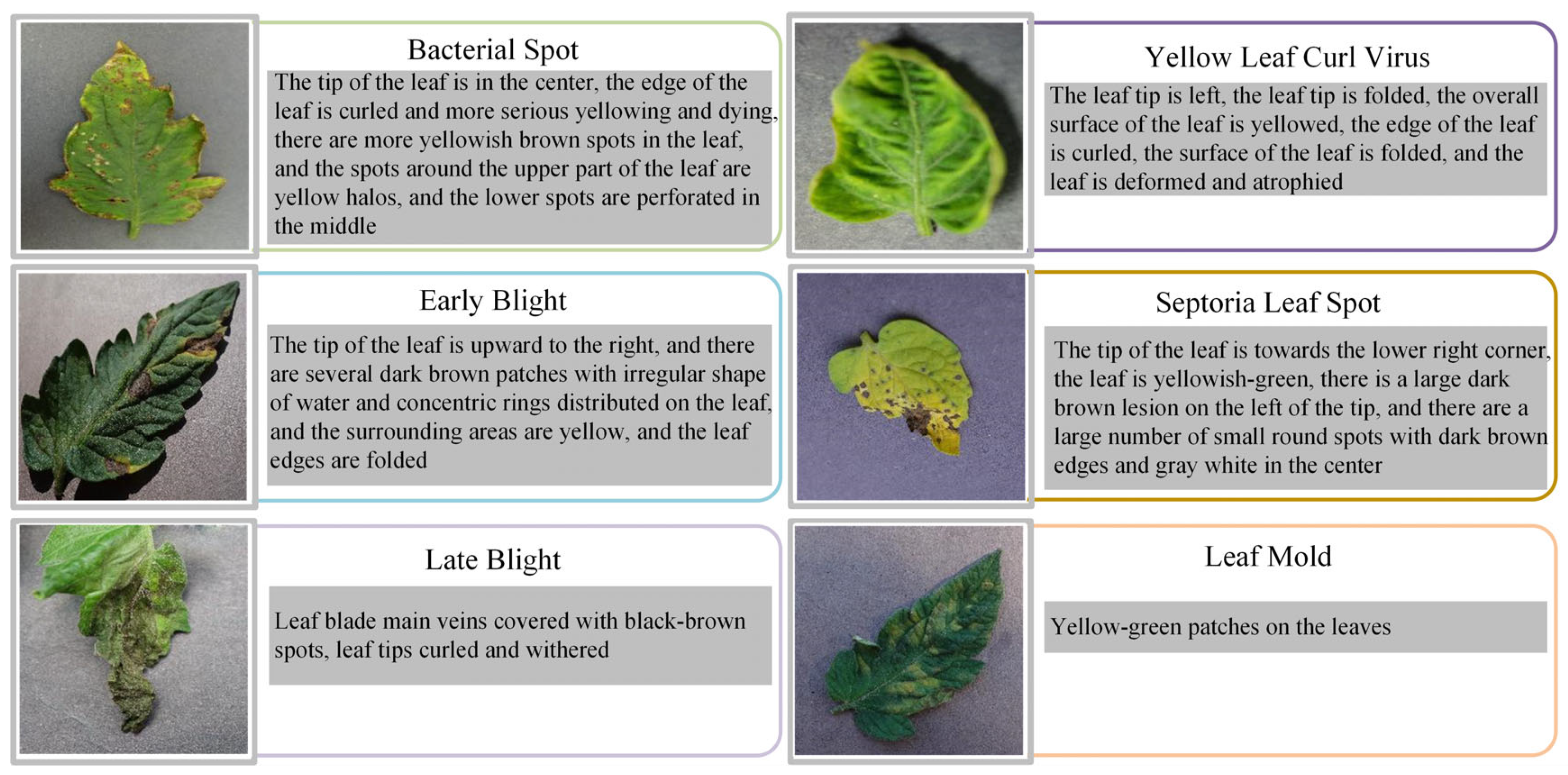 Plants 14 02329 g002