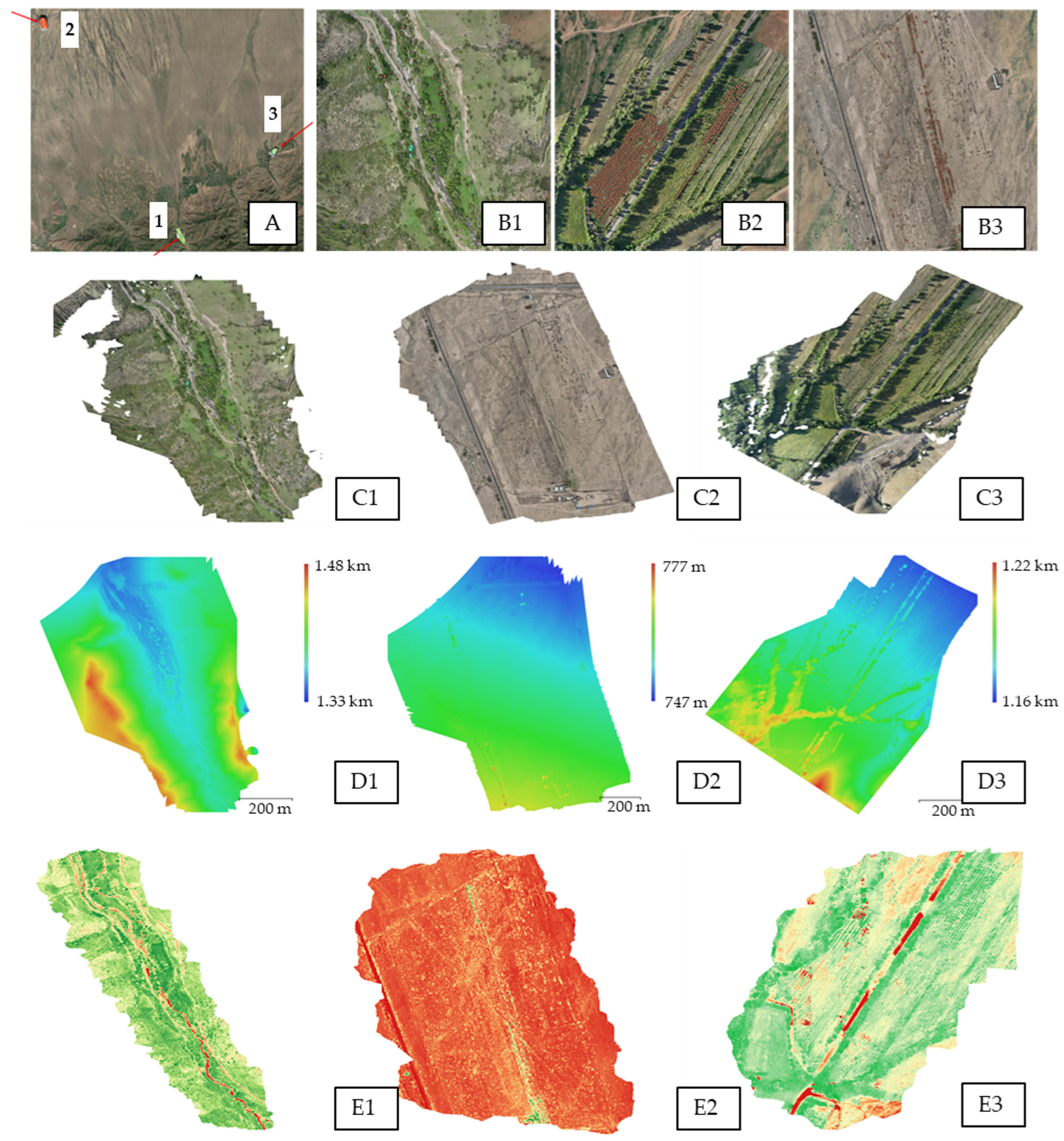 Plants 14 02333 g001