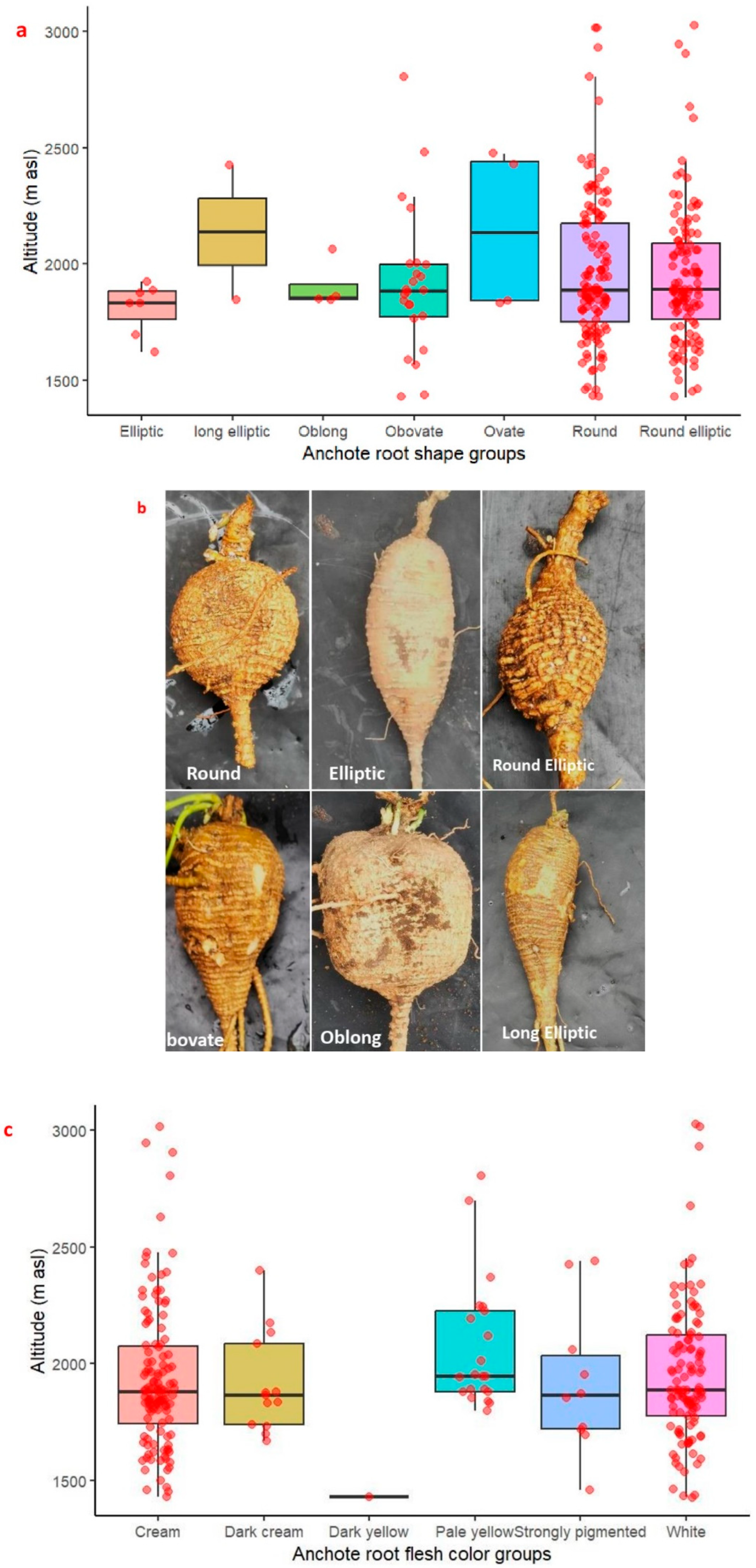 Plants 14 02334 g002a