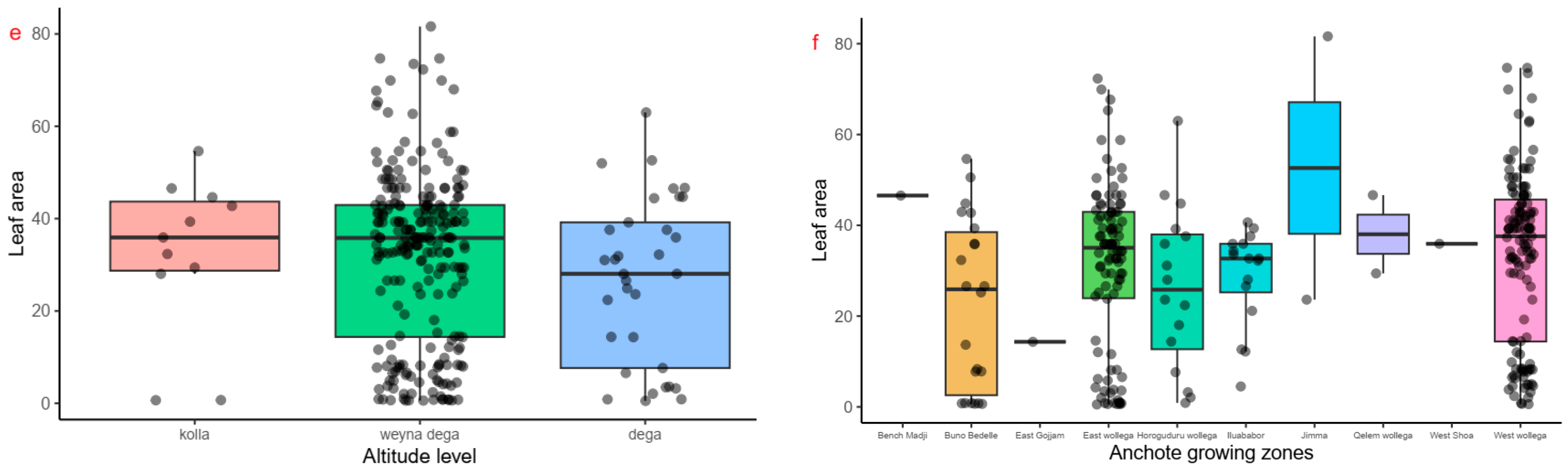 Plants 14 02334 g003b