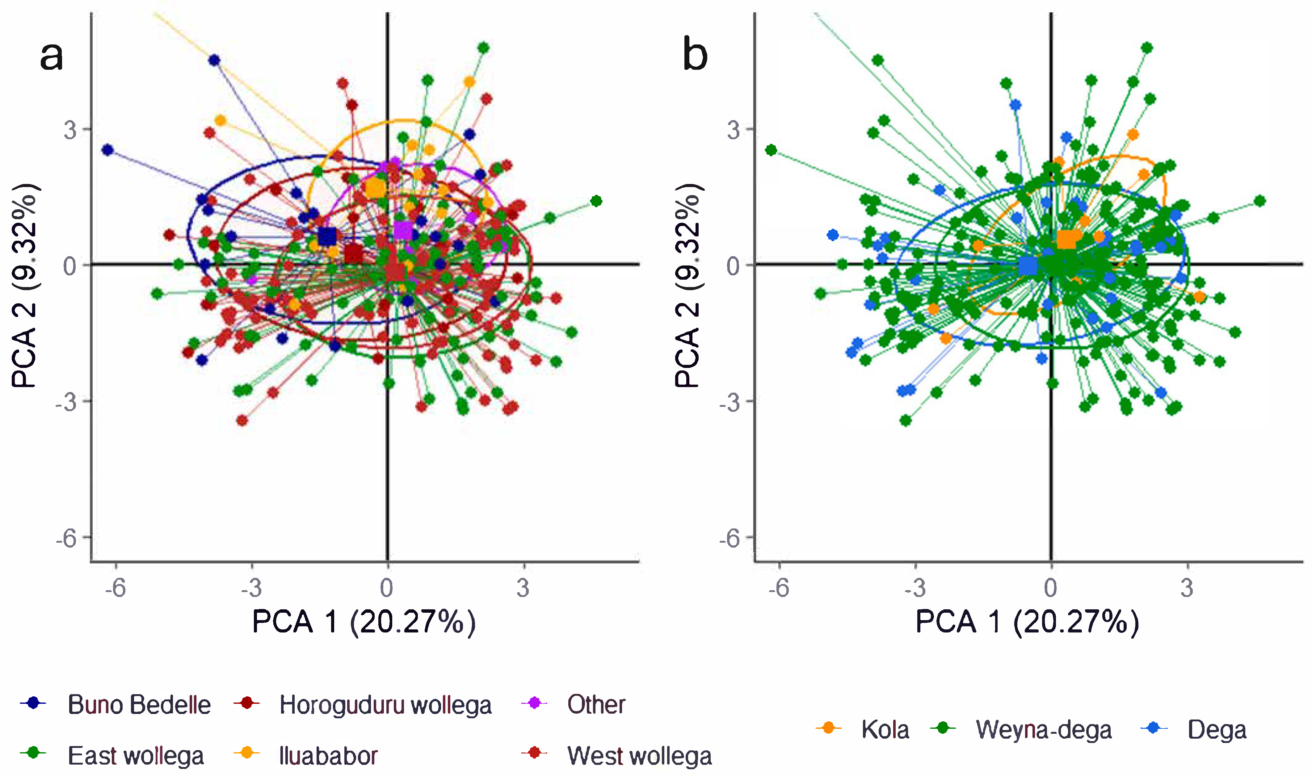 Plants 14 02334 g005