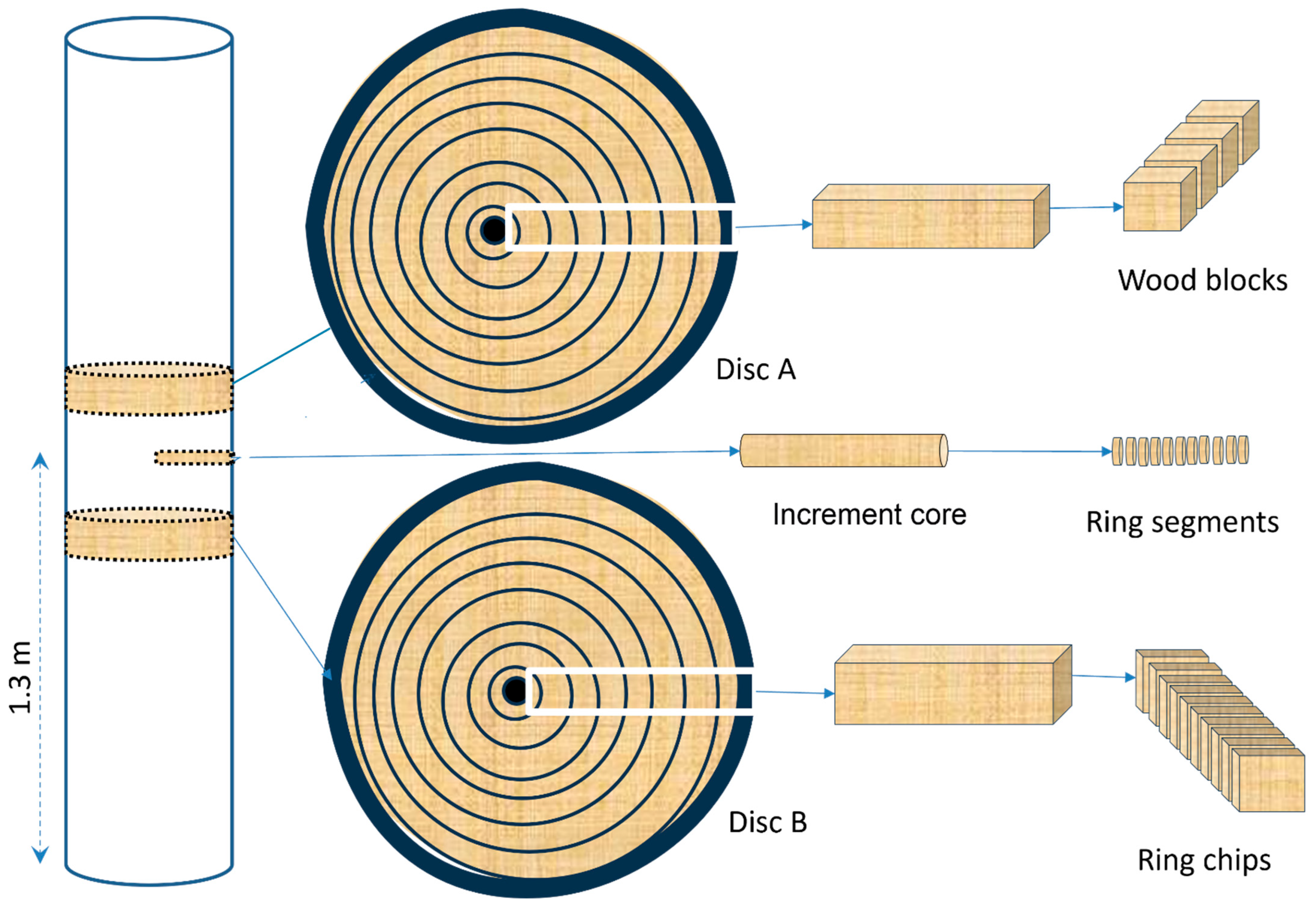 Plants 14 02339 g006