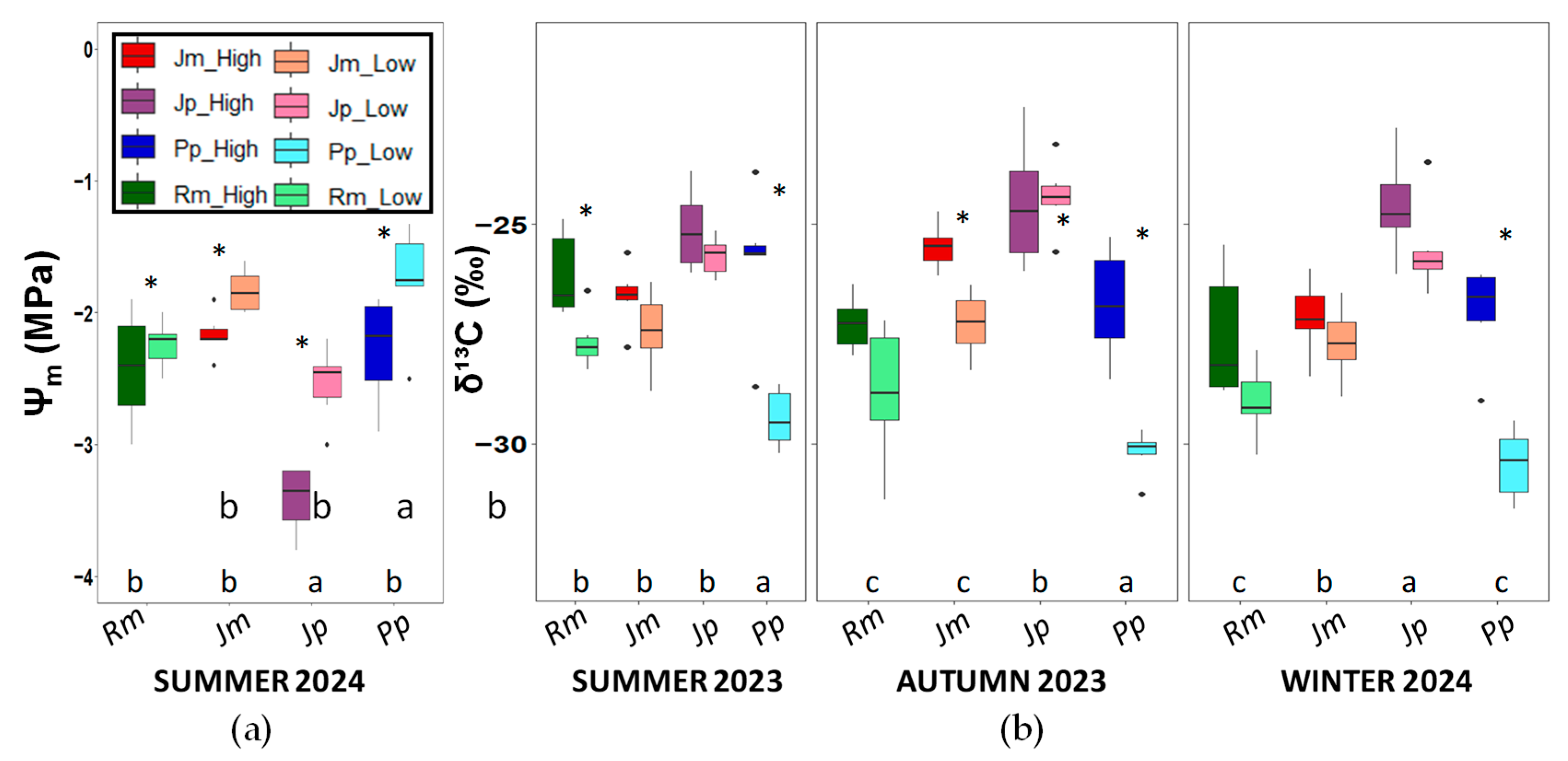 Plants 14 02342 g004
