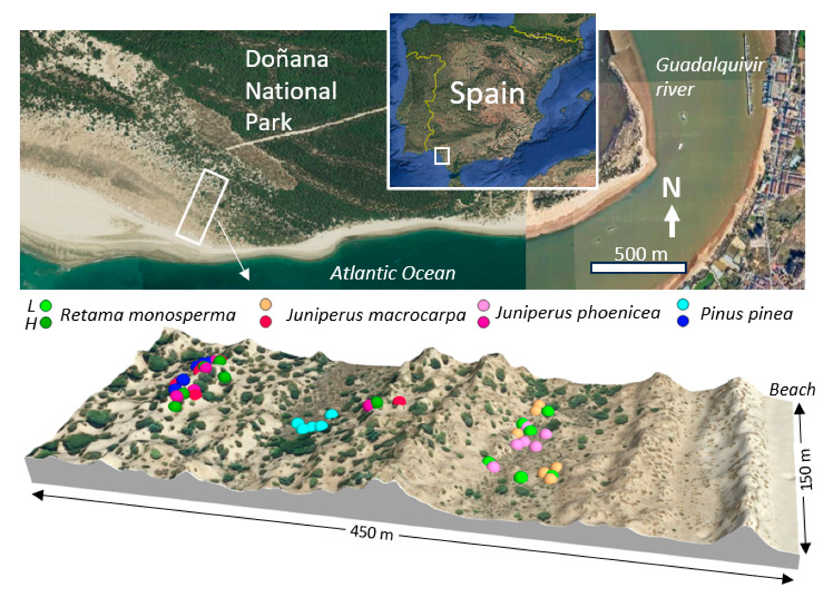 Plants 14 02342 g008